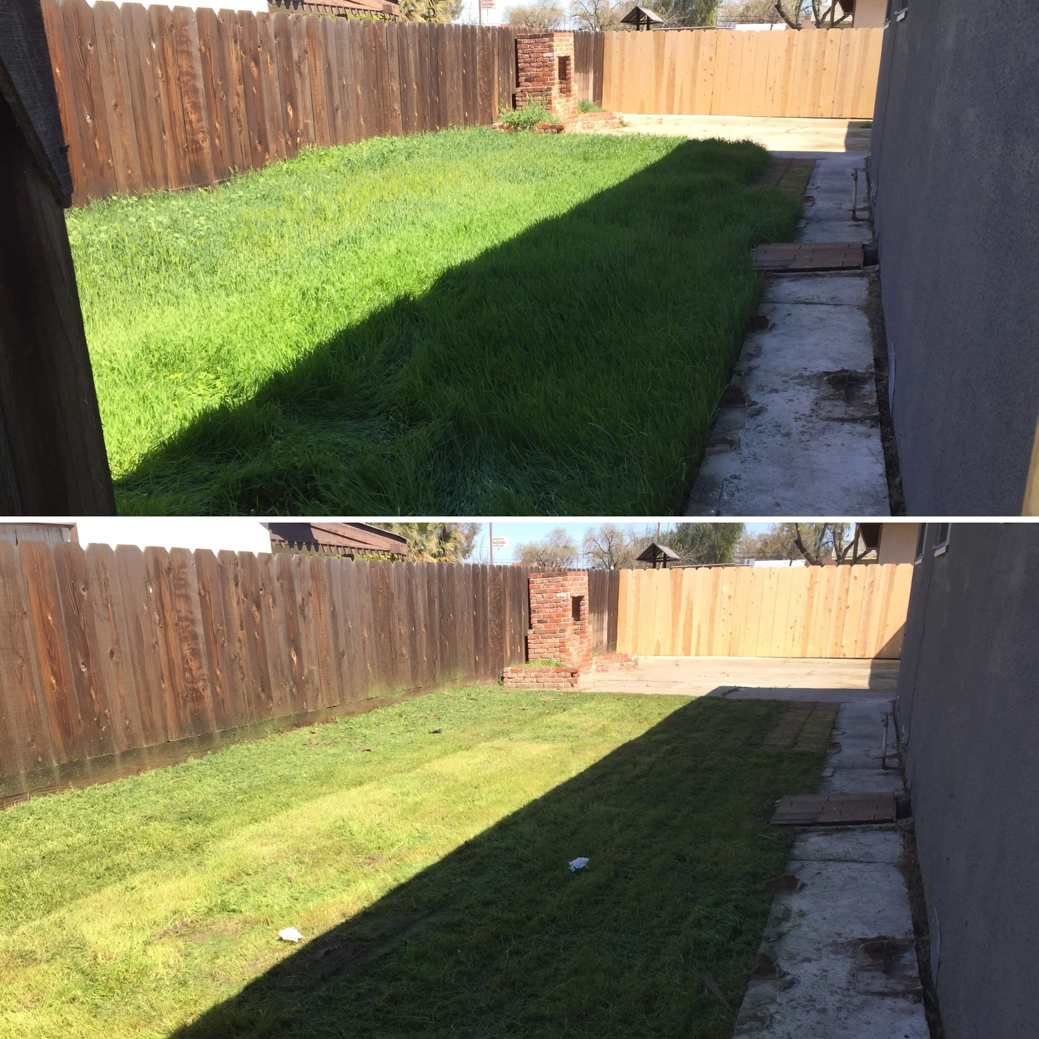 Comparison of a backyard before and after grass trimming: top image shows overgrown grass, bottom image shows freshly trimmed grass.