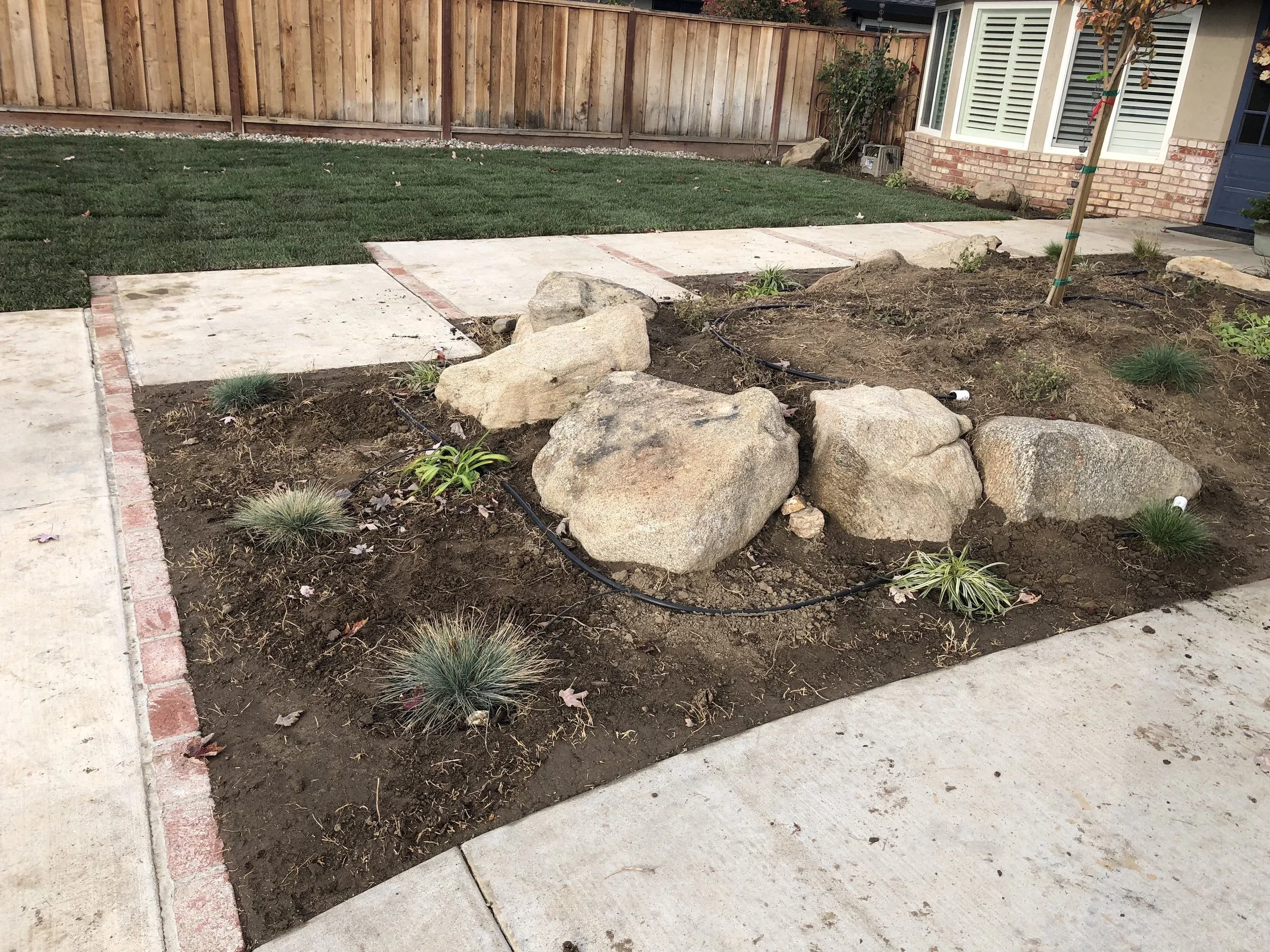 A freshly landscaped yard with large rocks, small plants, and a irrigation system installed. The yard is bordered by a brick and concrete sidewalk and wooden fence, with a house visible in the background.