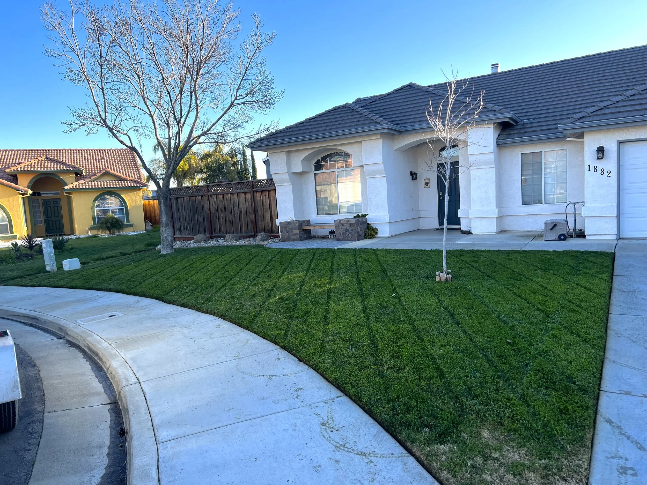 Front yard of a suburban house with a freshly mowed lawn, small trees, and a sidewalk in a neighborhood with similar homes.