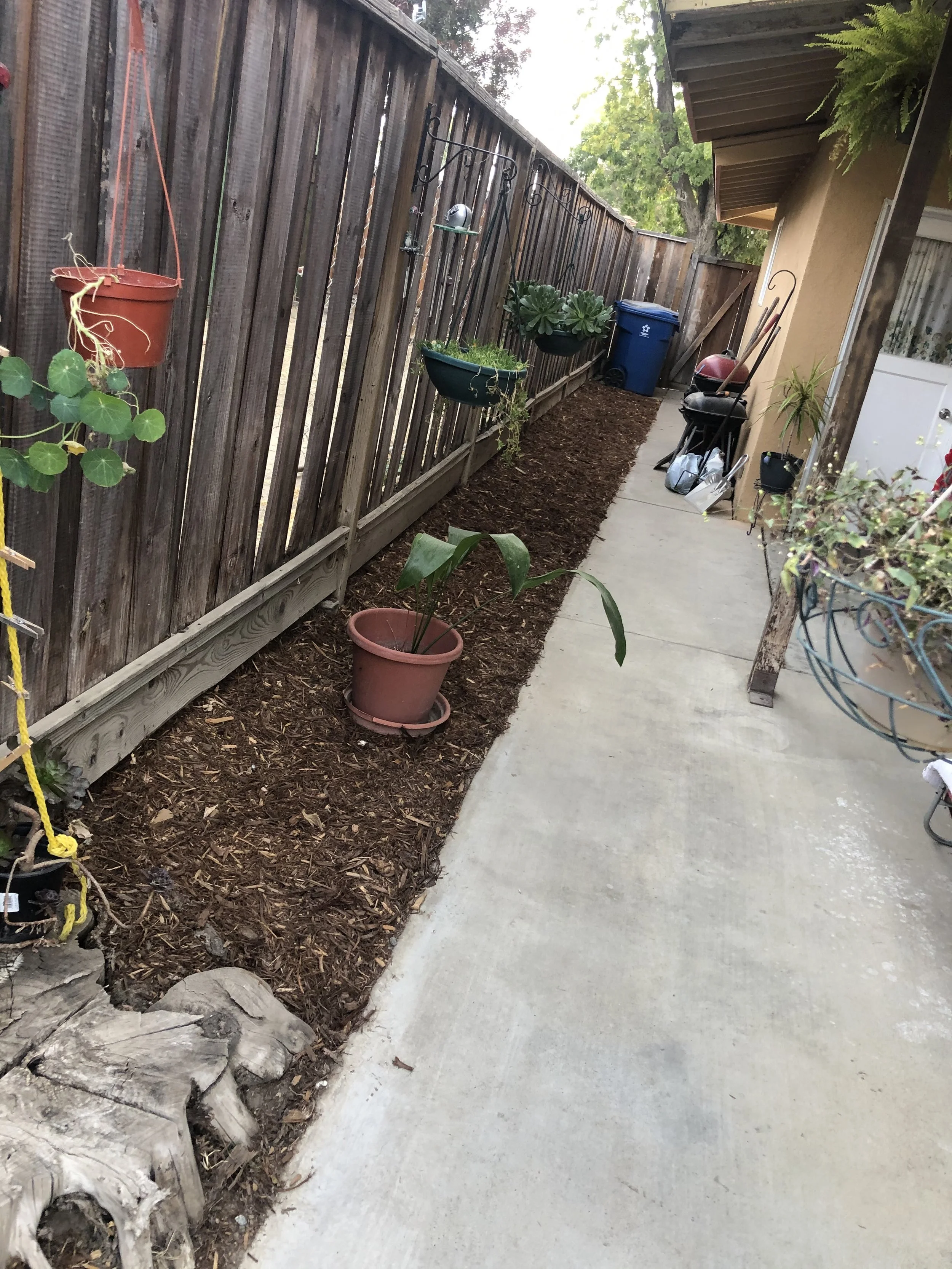 A narrow backyard with a concrete walkway, bordered by a wooden fence with hanging planters and potted plants, a blue trash bin, and a black grill near the house. There are garden tools and decorative items along the side.