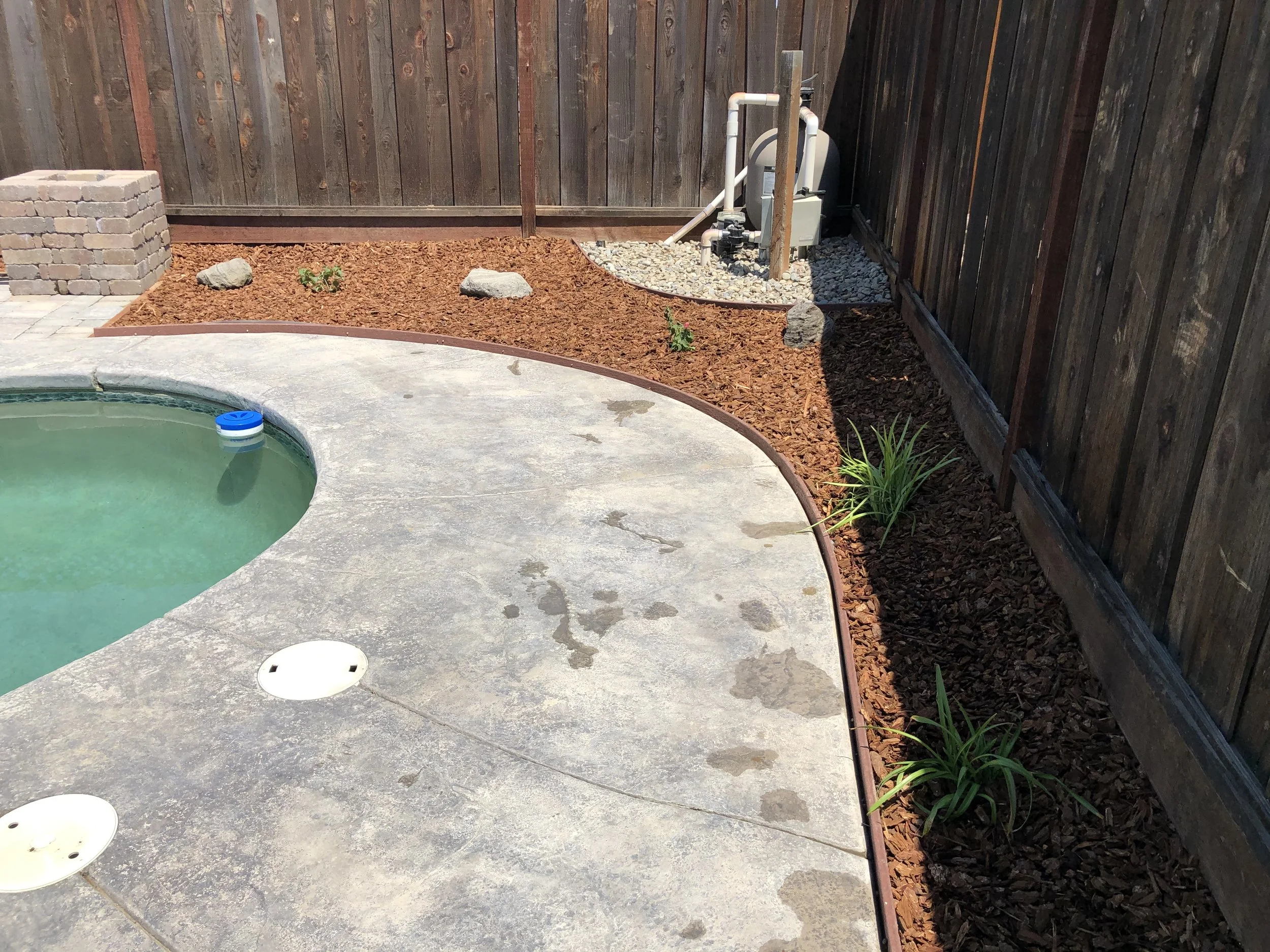 Backyard with a small pool or spa, concrete deck, a landscaped garden bed with mulch, plants, and a wooden fence.