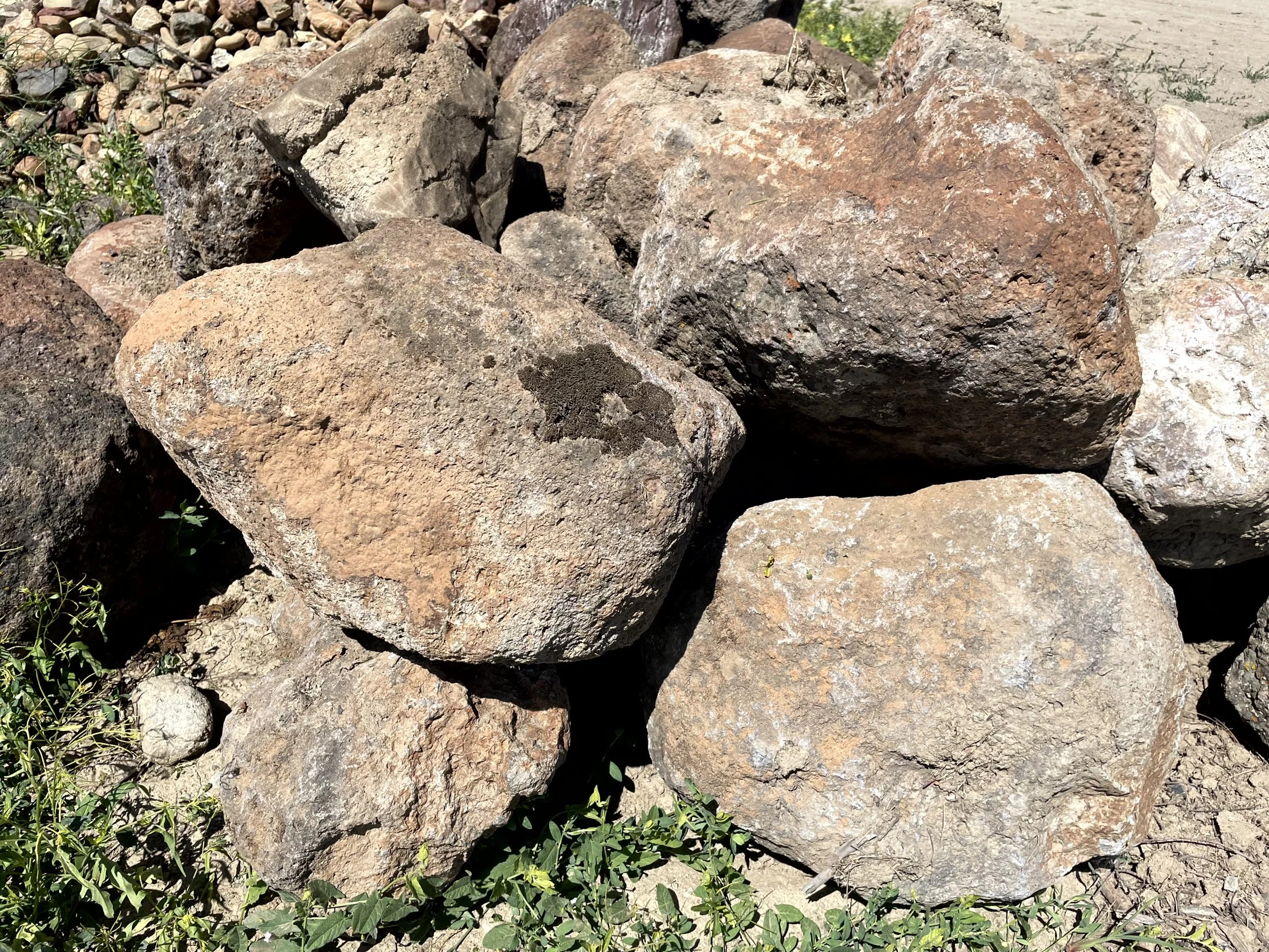 A group of large, uneven rocks and stones on the ground, with some small green plants growing around them.