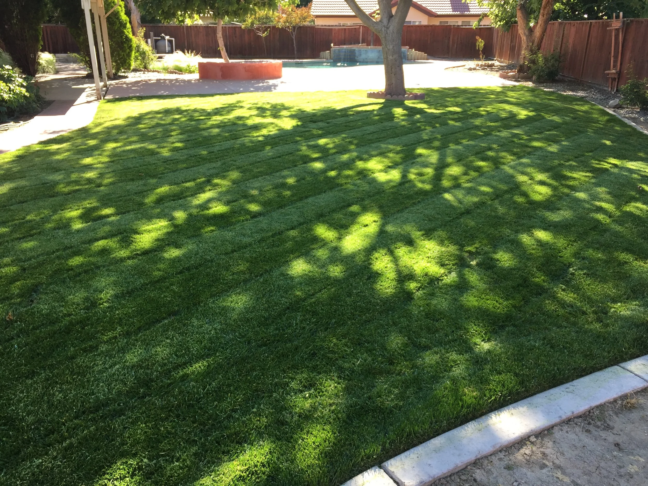 Well-maintained green lawn with striped grass pattern, trees providing shade, and a backyard with a fence, a small pool, and a patio area in the background.