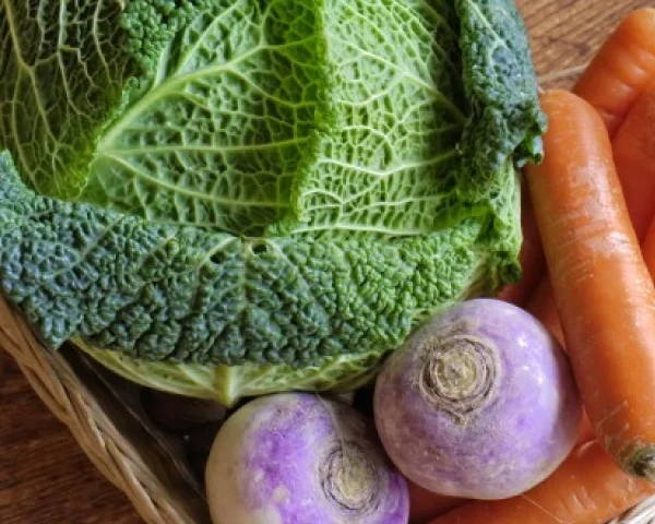 Casses Tucson City Of Gastronomy