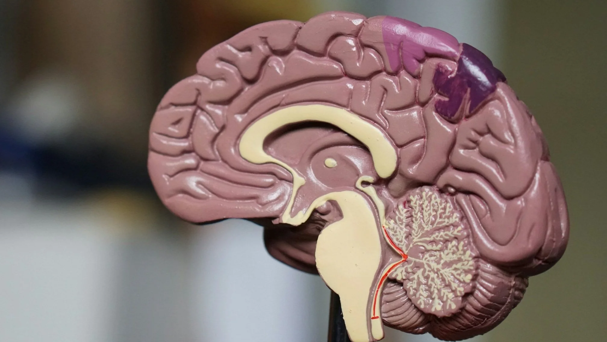Unlocking a Healthier Mind: The Benefits of Cognitive Behavioral Therapy