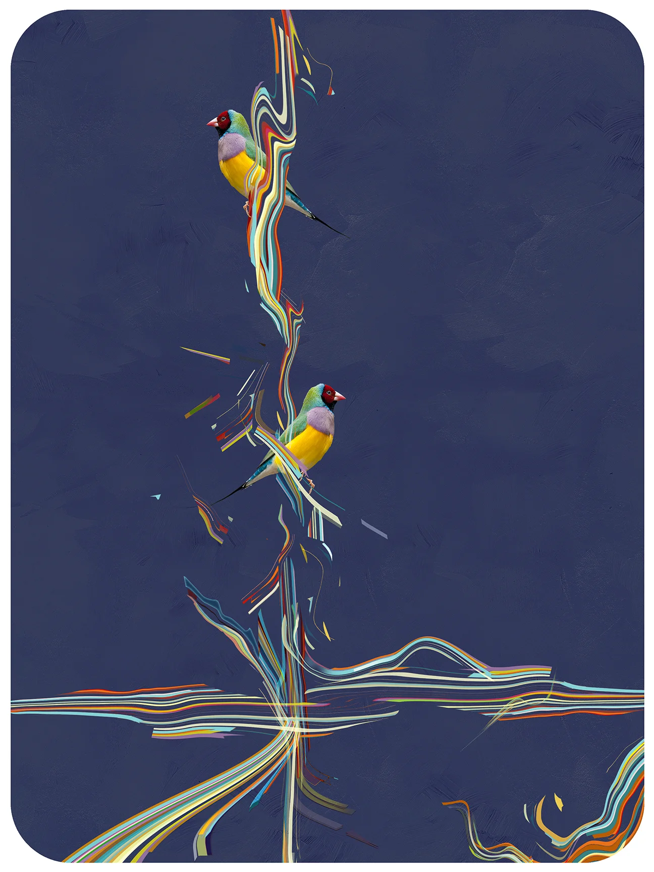 Two Finches by Night
