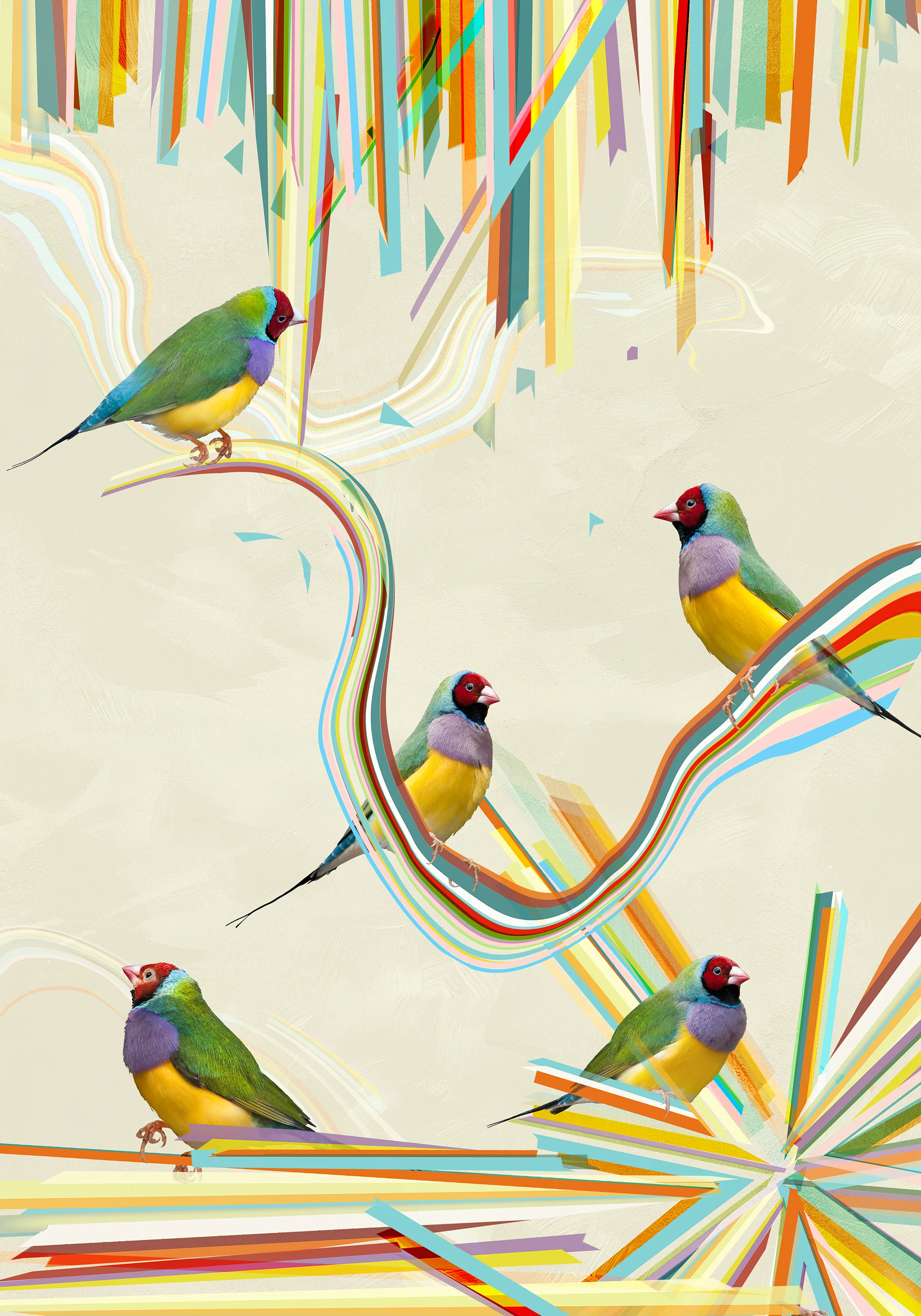 Five Finches by Day