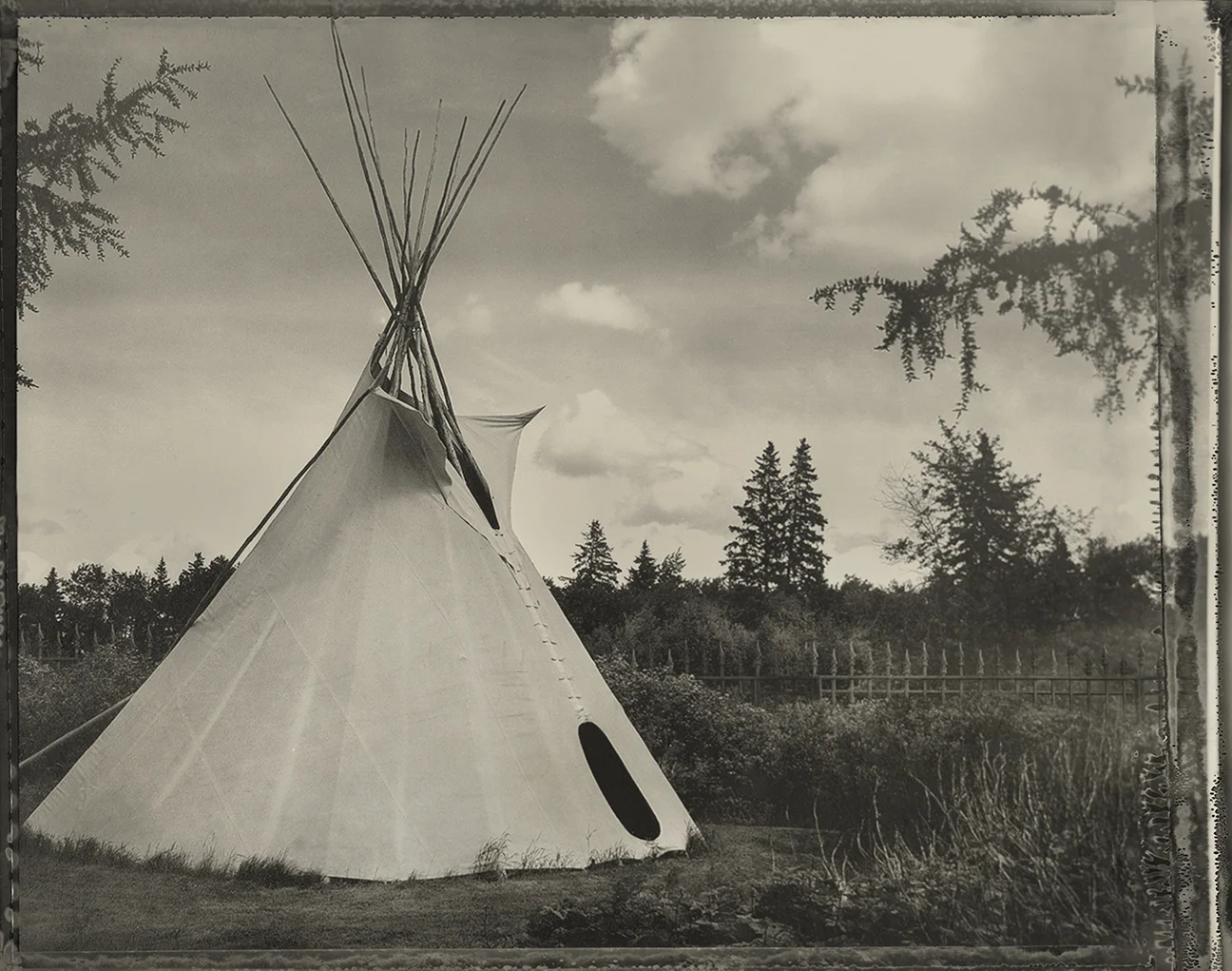 “Native Habitat”