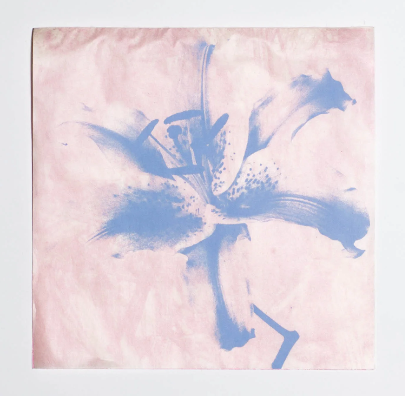 Stargazer II