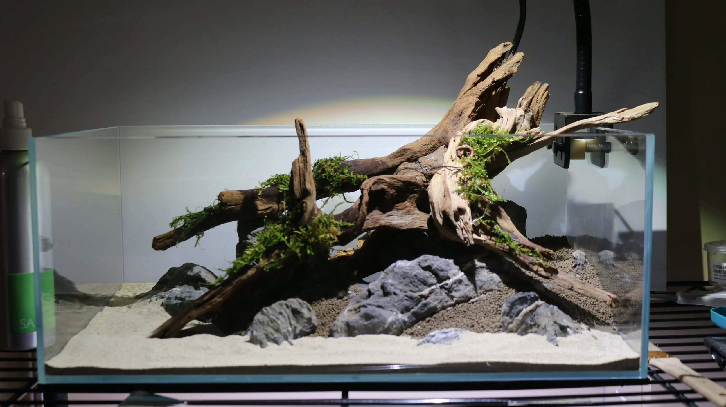 shallow aquascape