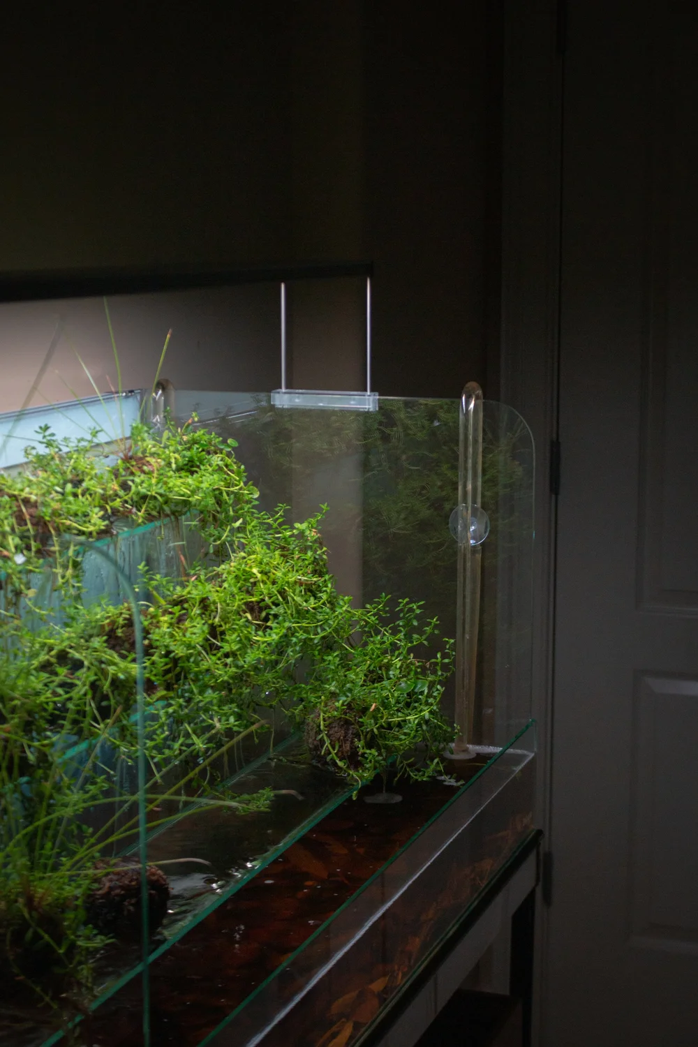 Do!Aqua Waterfall Aquarium 90 — [ STUDIO AQUATICA ]