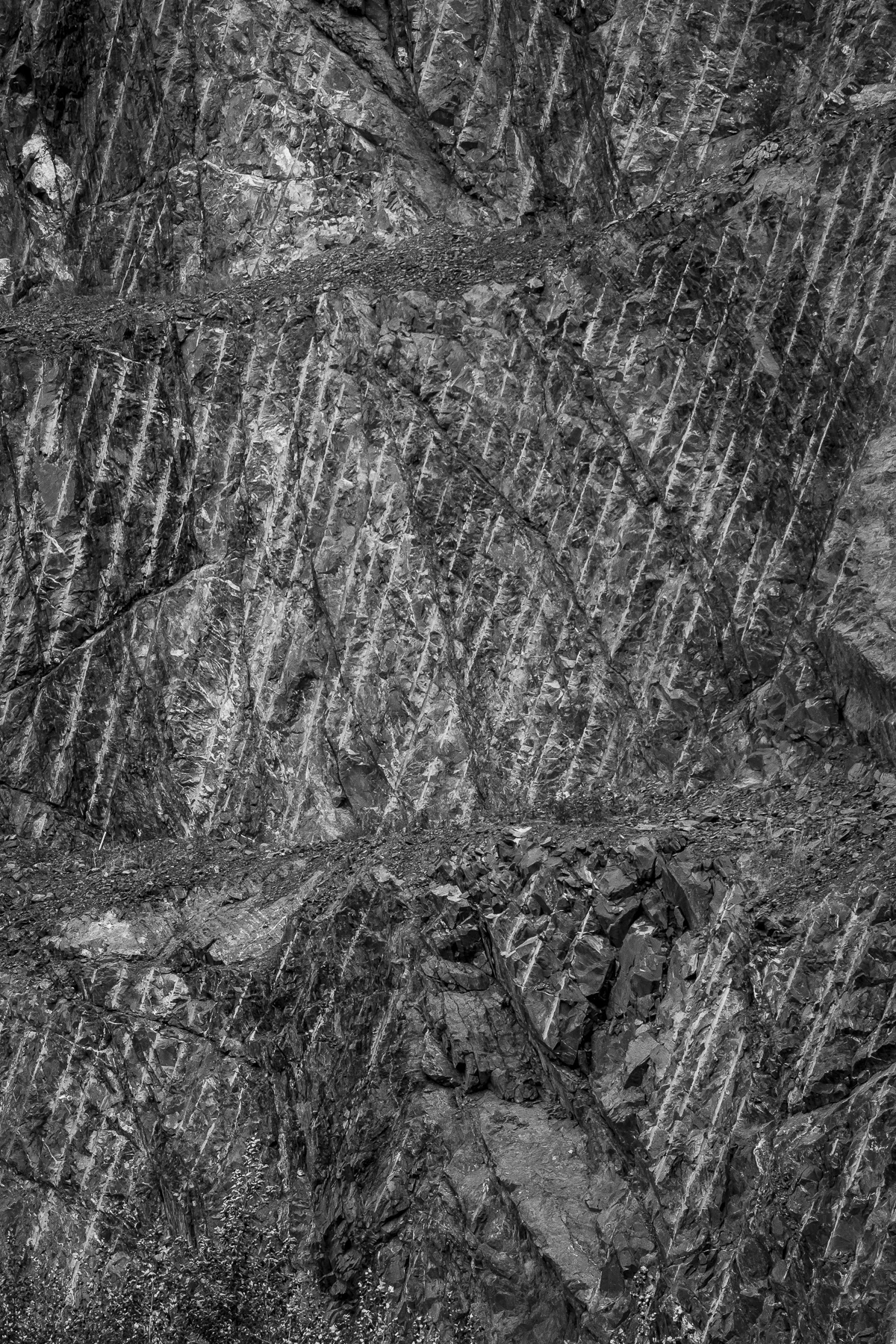 Marie Teemant Website_04.jpg