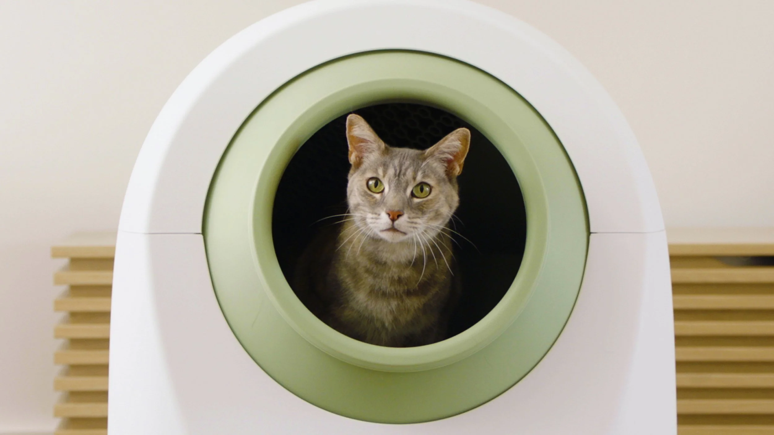 The Loo your Leo will love! Leo's Loo Too by Casa Leo