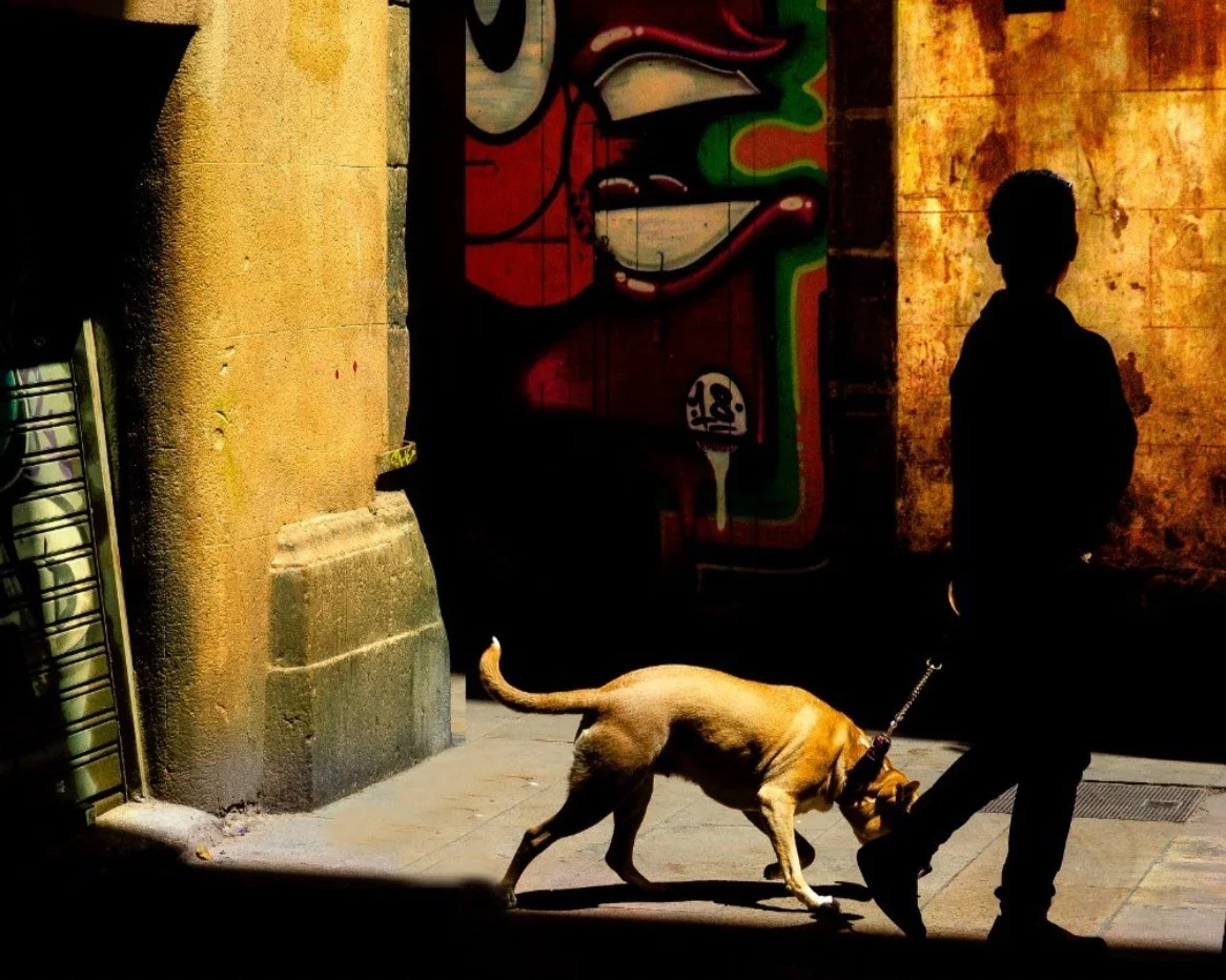 ADOBE CREATE Josep Fabrega