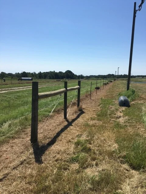 farm : ag fence.jpg