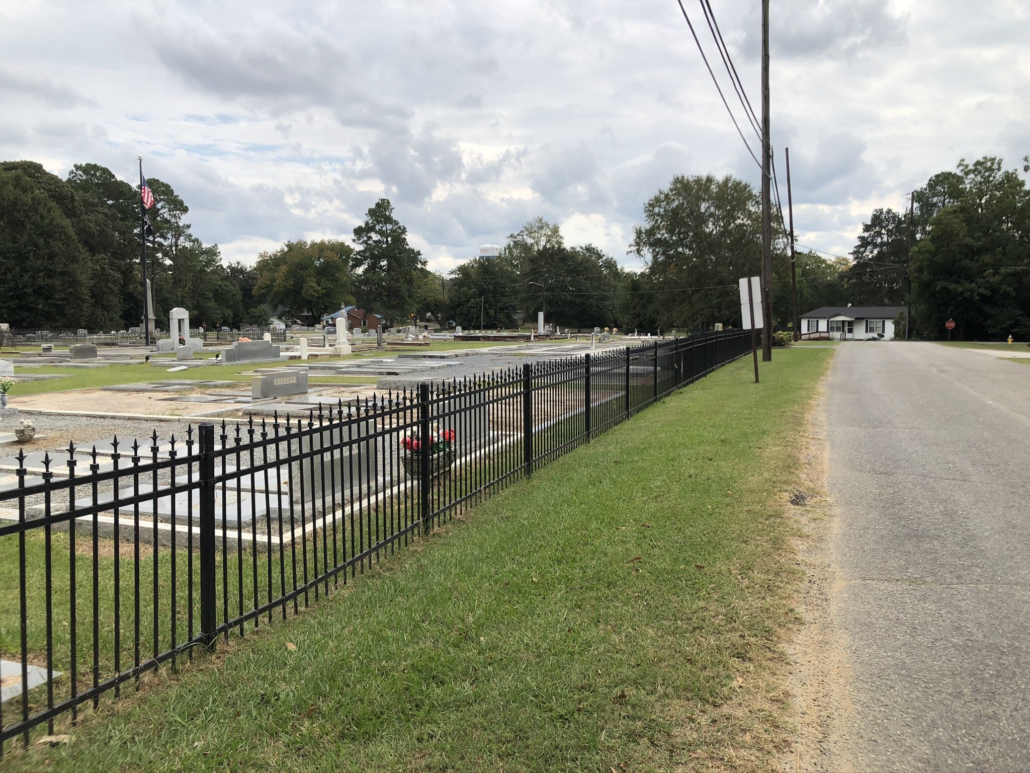ornamental steel iron fence.jpeg