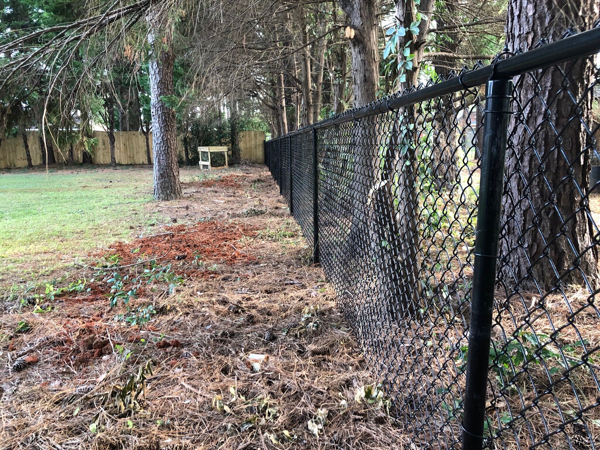 black chain link fence four foot fence residential