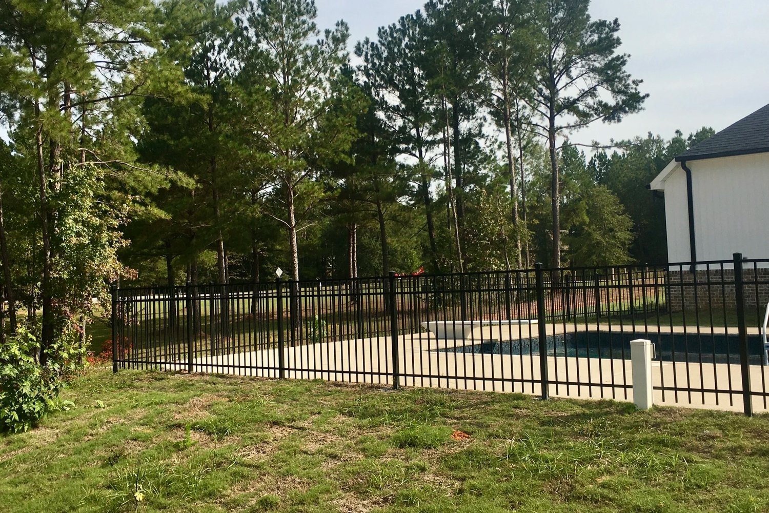 Black ornamental fencing around a backyard swimming pool