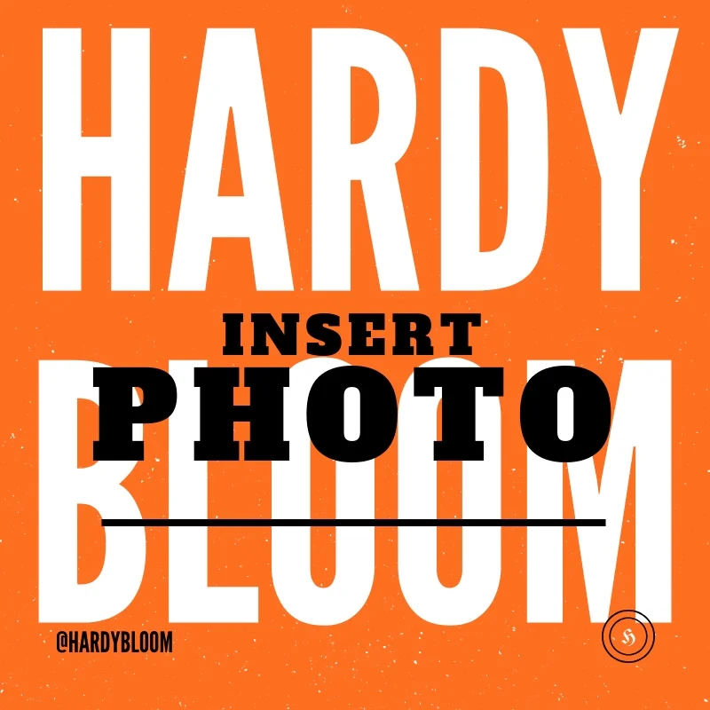 hardy.jpg