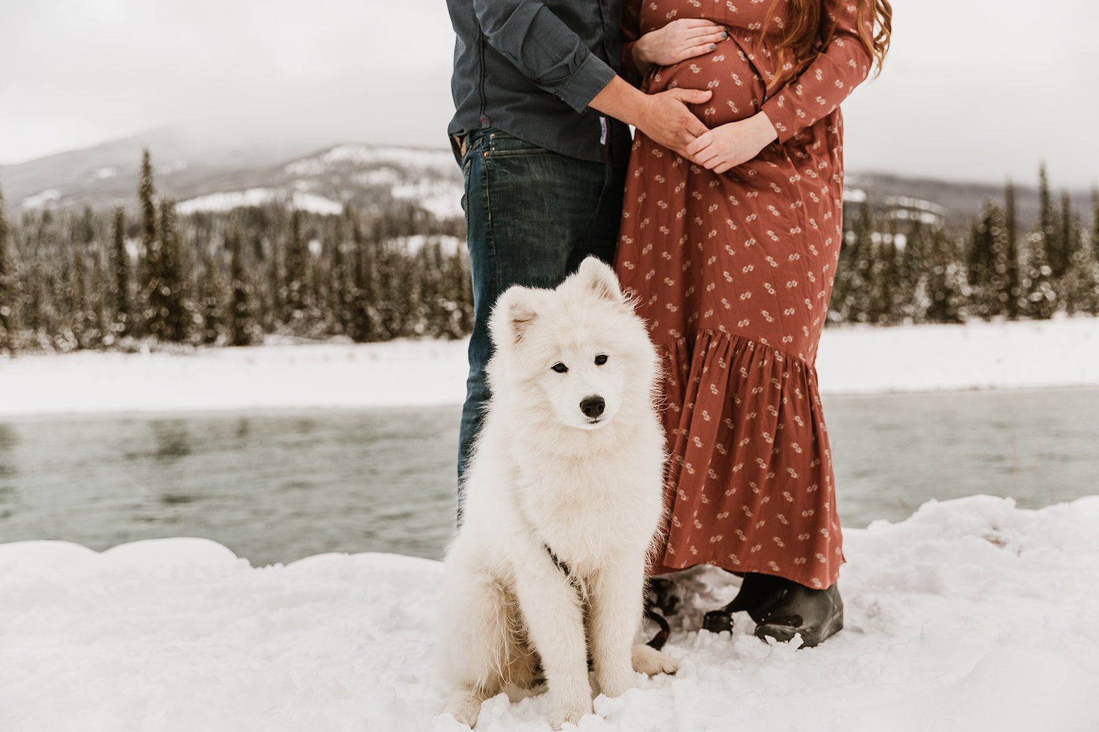 Dog and pregnant belly in the rocky mountains | Jamie Robson Photography | Maternity Photographer in Jasper (Copy)