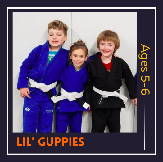 Brazilian Jiu-Jitsu and Self Defense in Coos Bay, Oregon