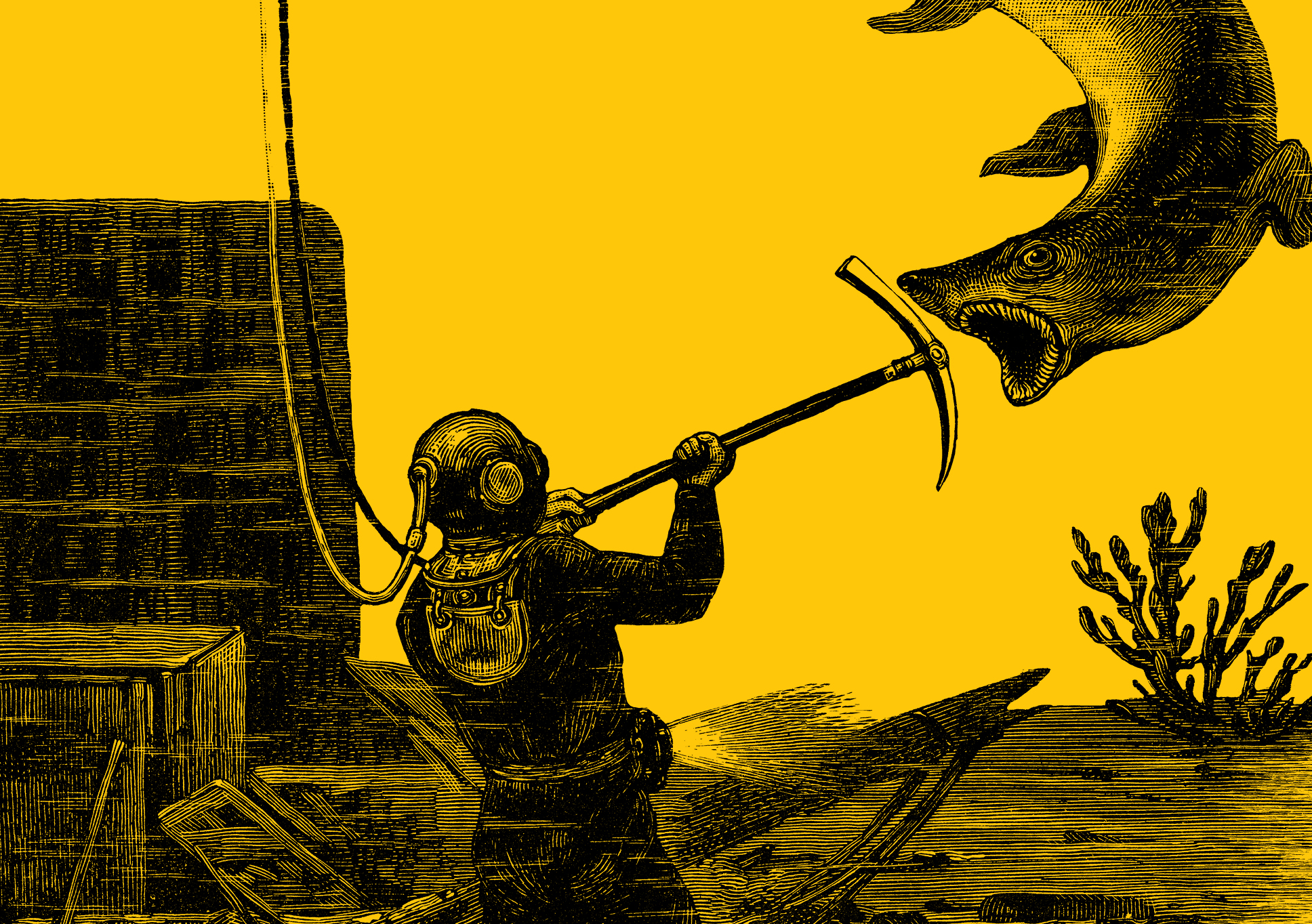 Miny&Mo illustration