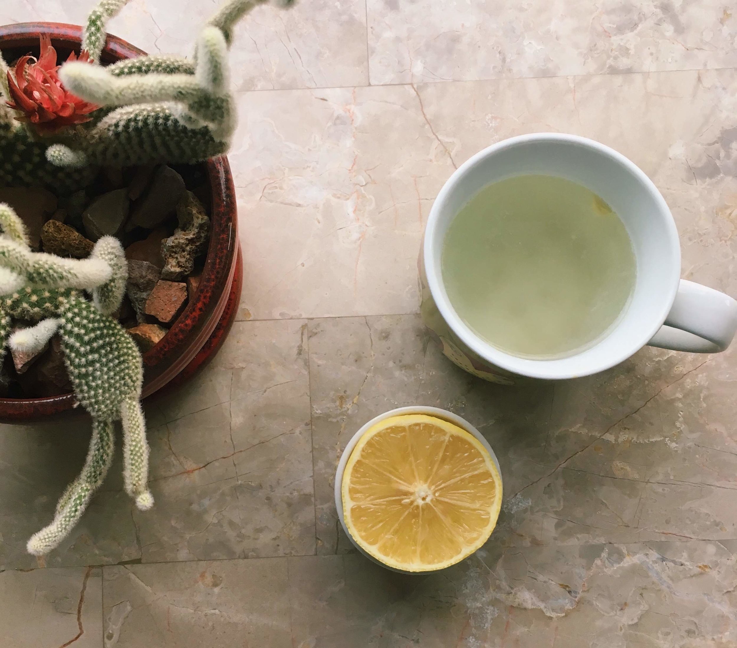 Cleansing hot lemon water