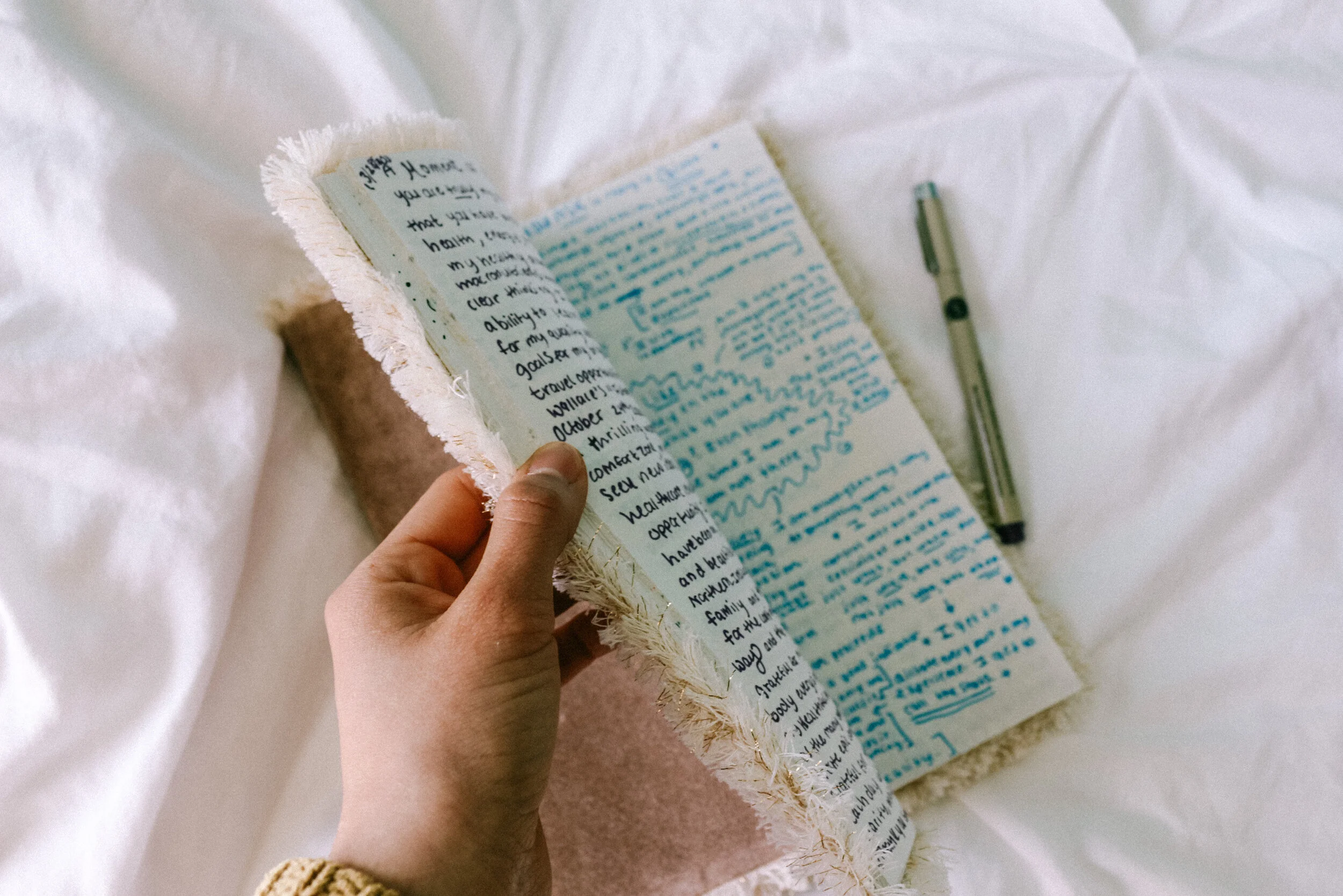 Fringe journal from Anthropologie