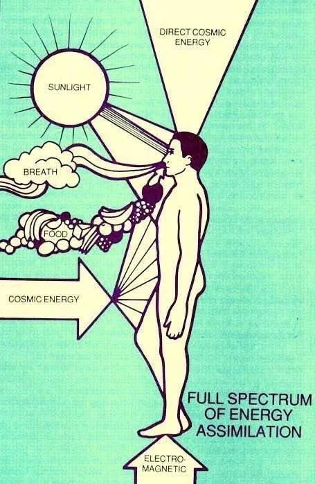 Fasting to Raise Vibration, Expand Consciousness AND THRIVE!.jpg