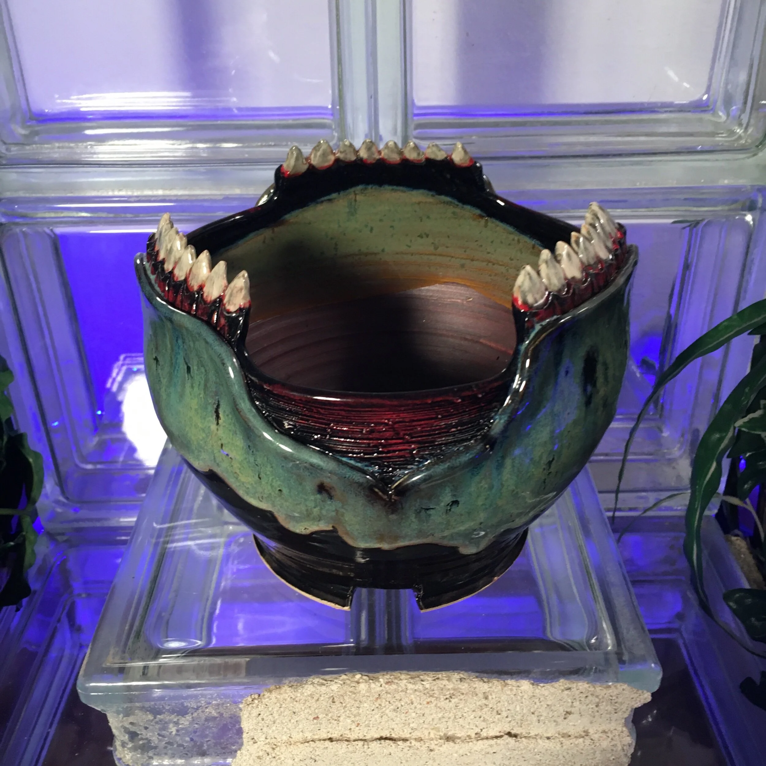 50F4FB3D-1575-4BF6-AECC-0DAD385866C3