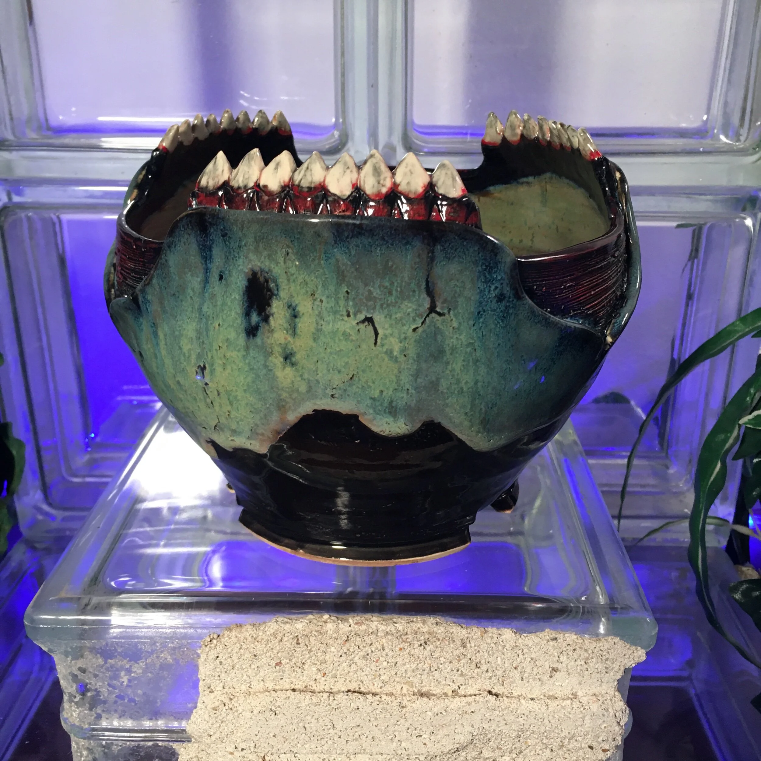 D236986E-0477-4116-BA5C-FABC2DE99822