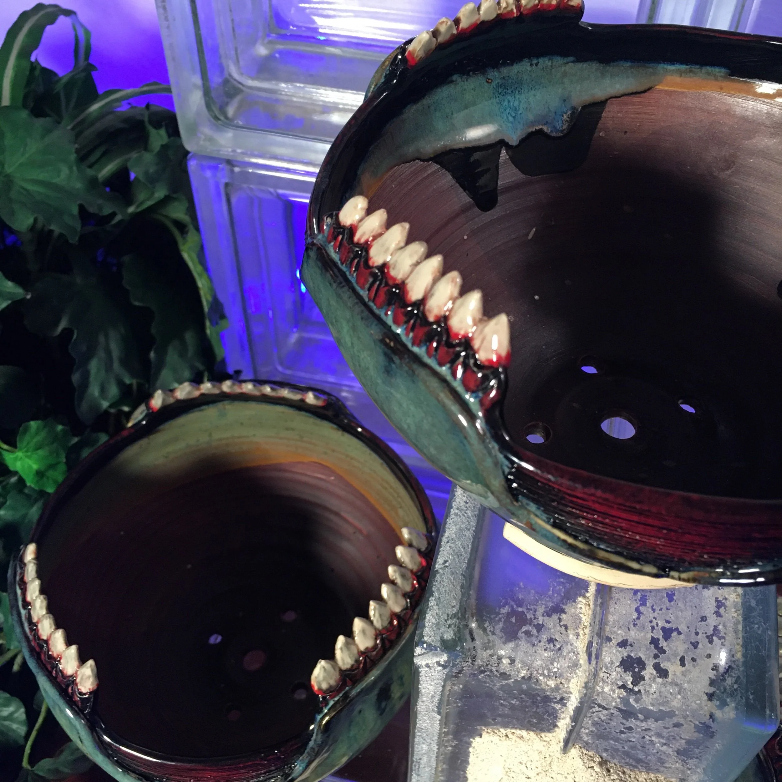 EDA52F8E-2323-4F88-94B8-26145411D68E