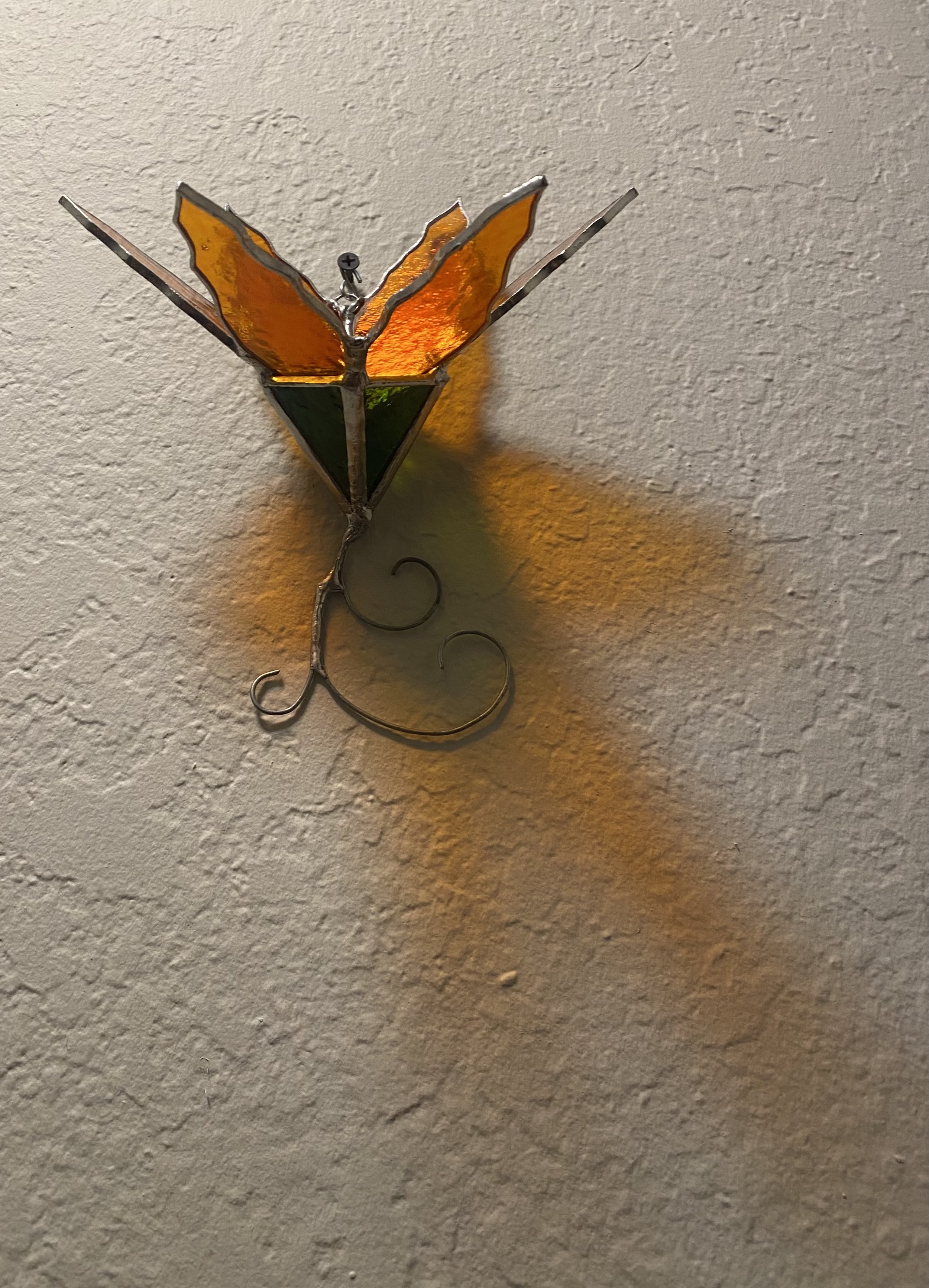 IMG_9142.jpeg