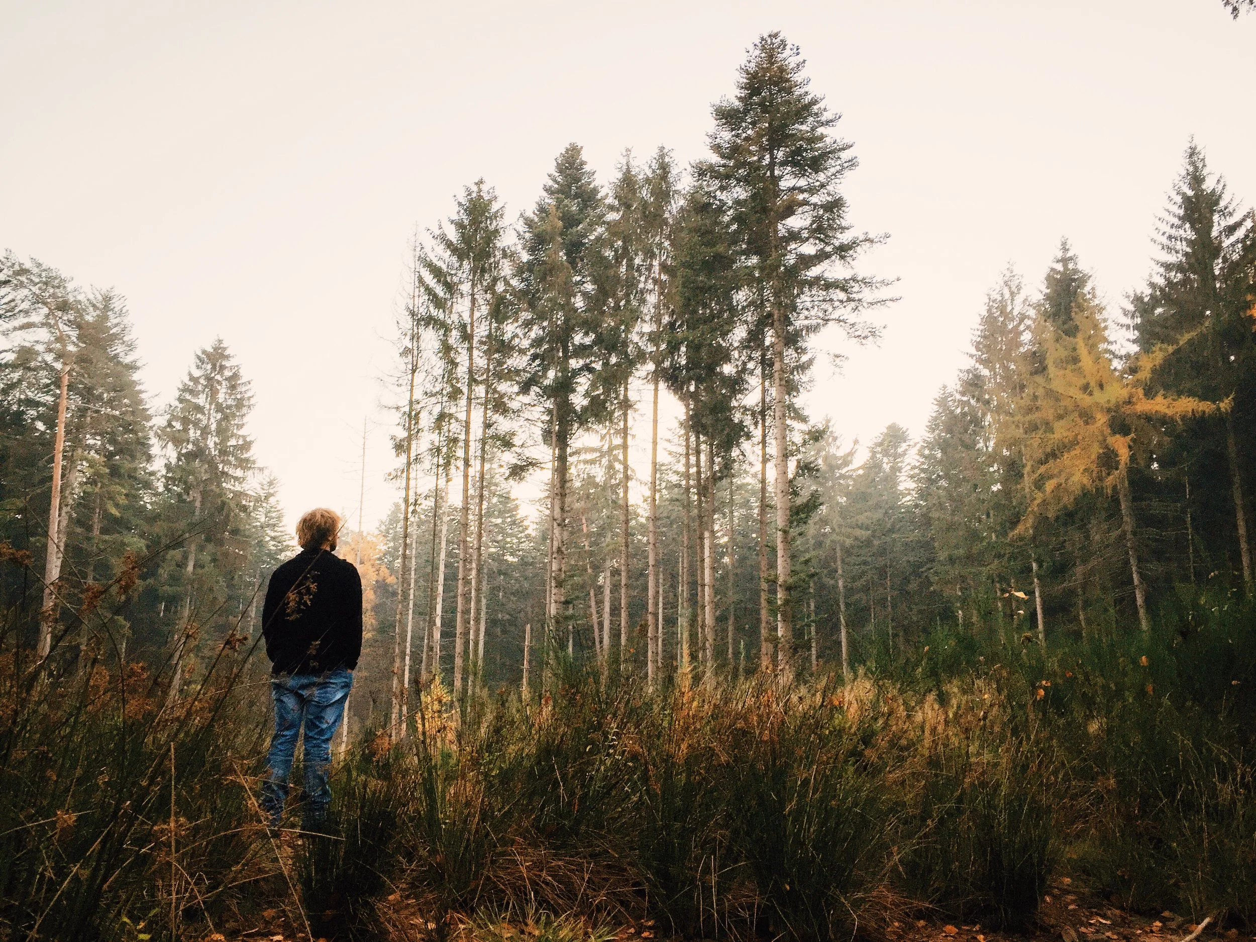 WEBINAR: Jewish Men and White Privilege: What Could Mensches Do?