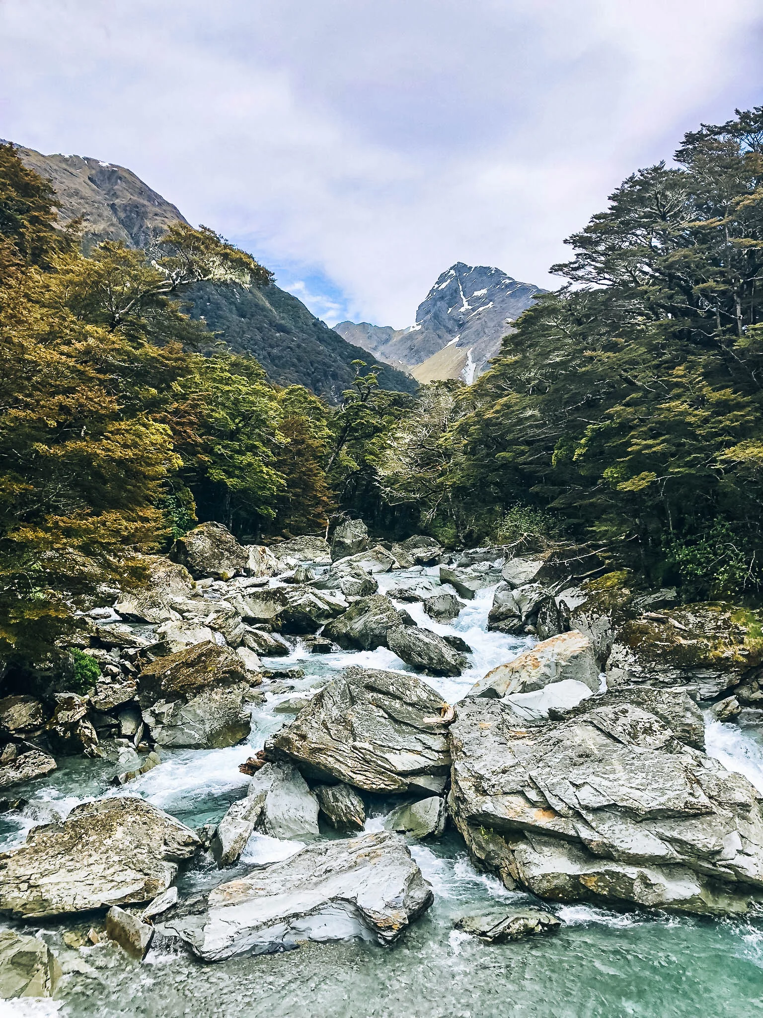 Photo courtesy of @caitlinsoutherlevine and @fromthesaltmine, two honeymooners I sent on a kickass trip to New Zealand, A PLACE I HAVE NOT BEEN.