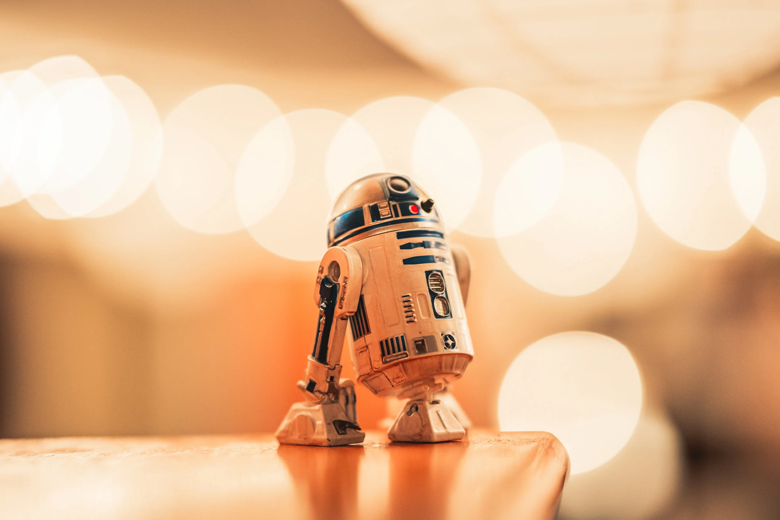 Sigma 105mm f/1.4 - Sample Images