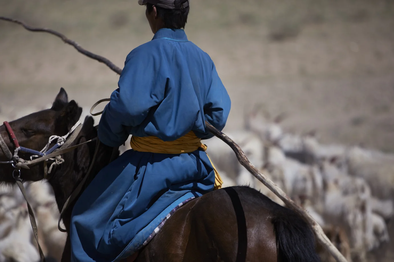 MAIYET-MONGOLIA-KD-DAY8-1-5265v1.jpg