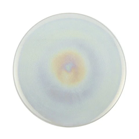 Iridescent glass charger Price: $1.00 Qty: 3