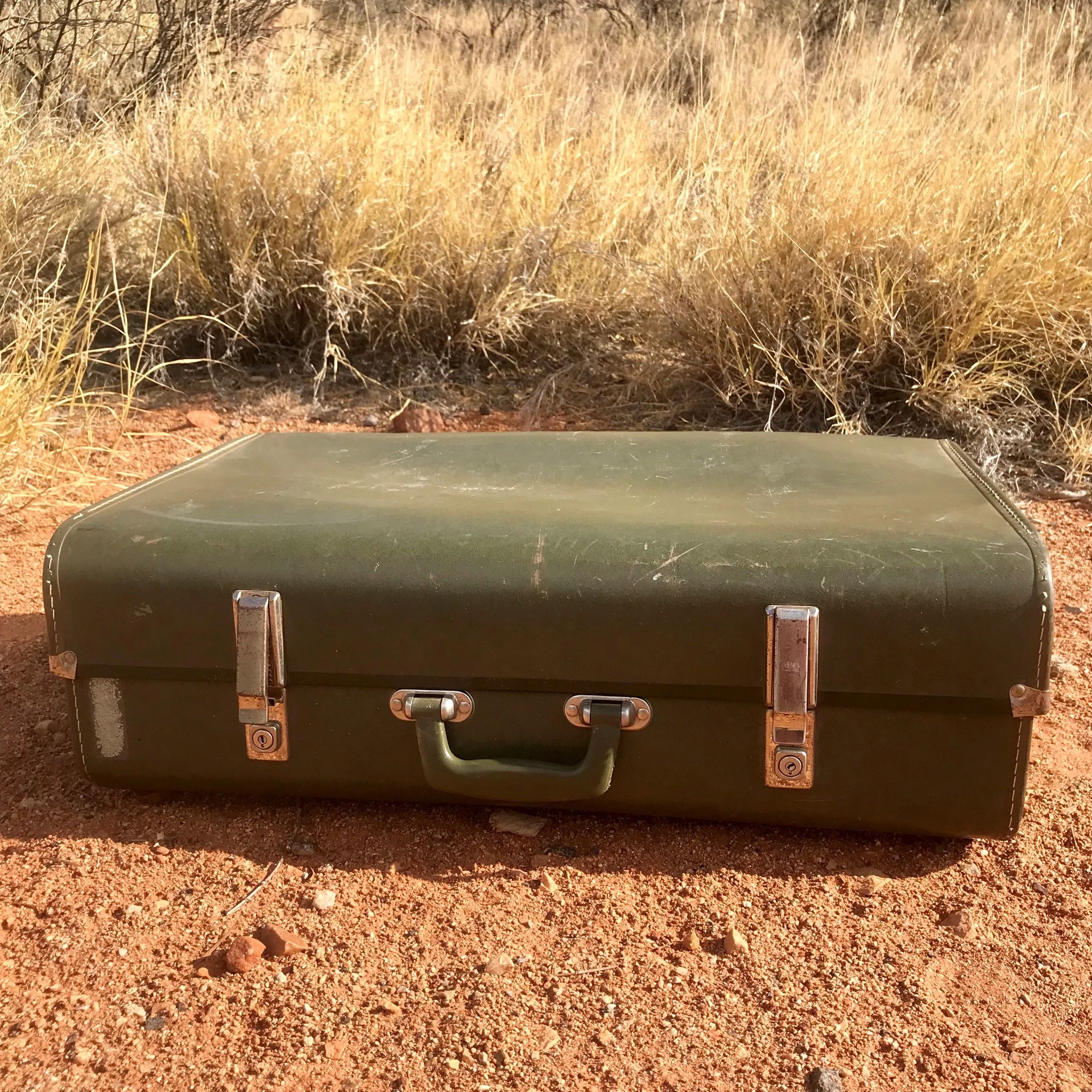 Vintage trunk - olive green Price: $15.00 Qty: 1