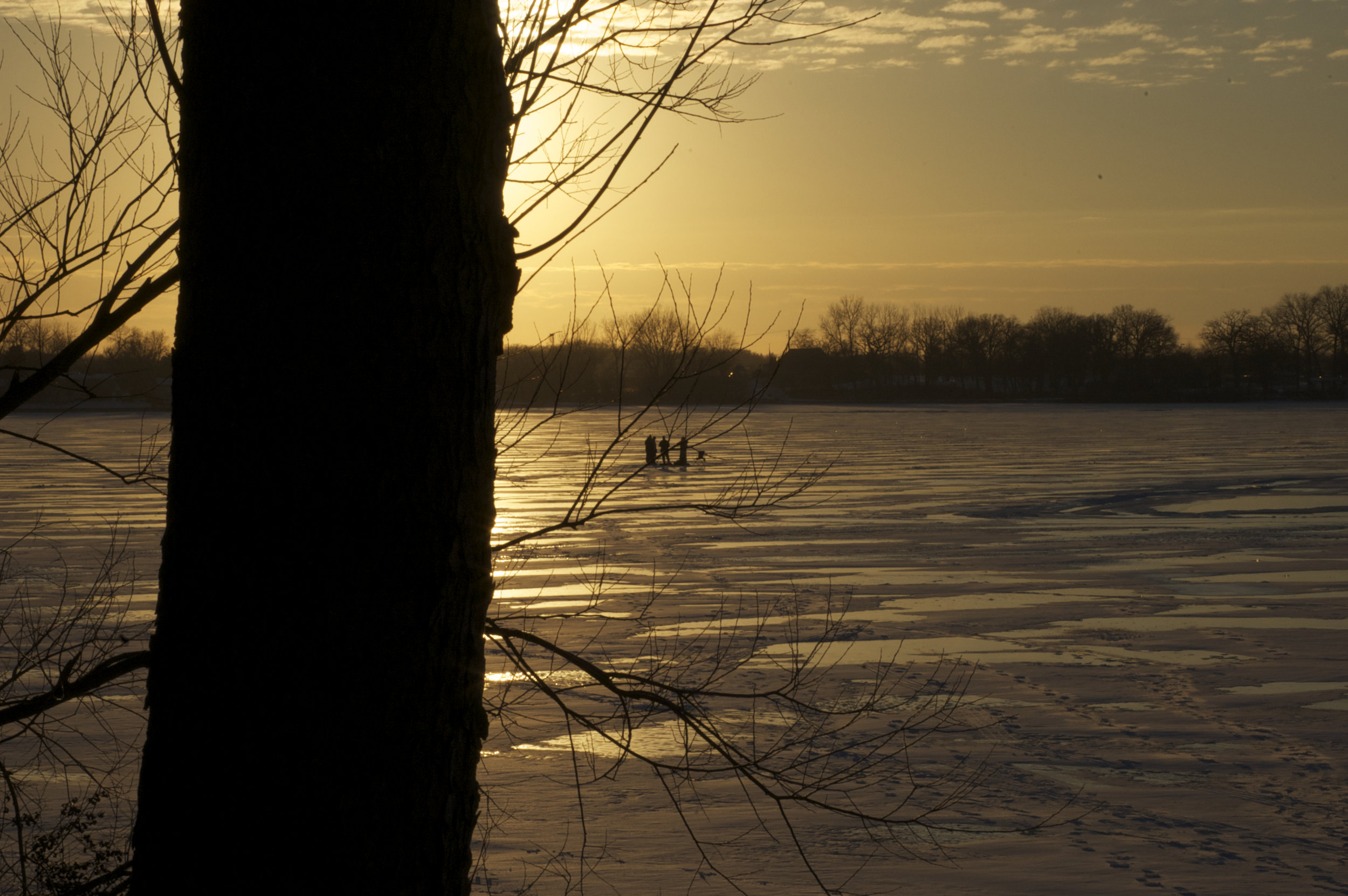 DSC_0043.jpg