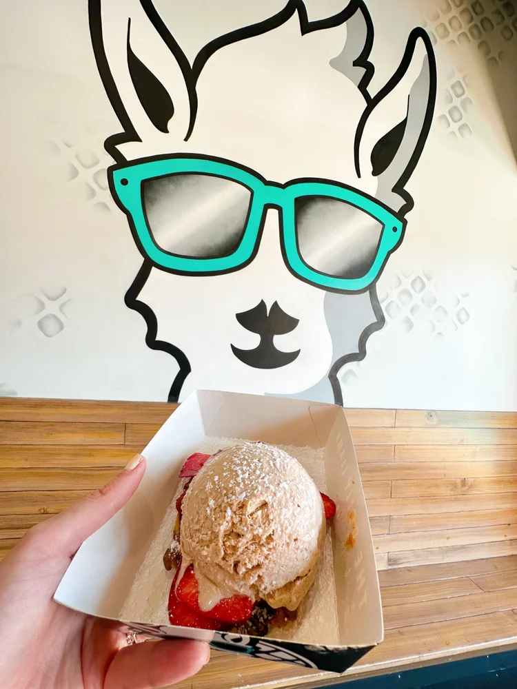 Dolly Llama Ice Cream Review Alpaca Your Spoon! LOS ANGELES — The