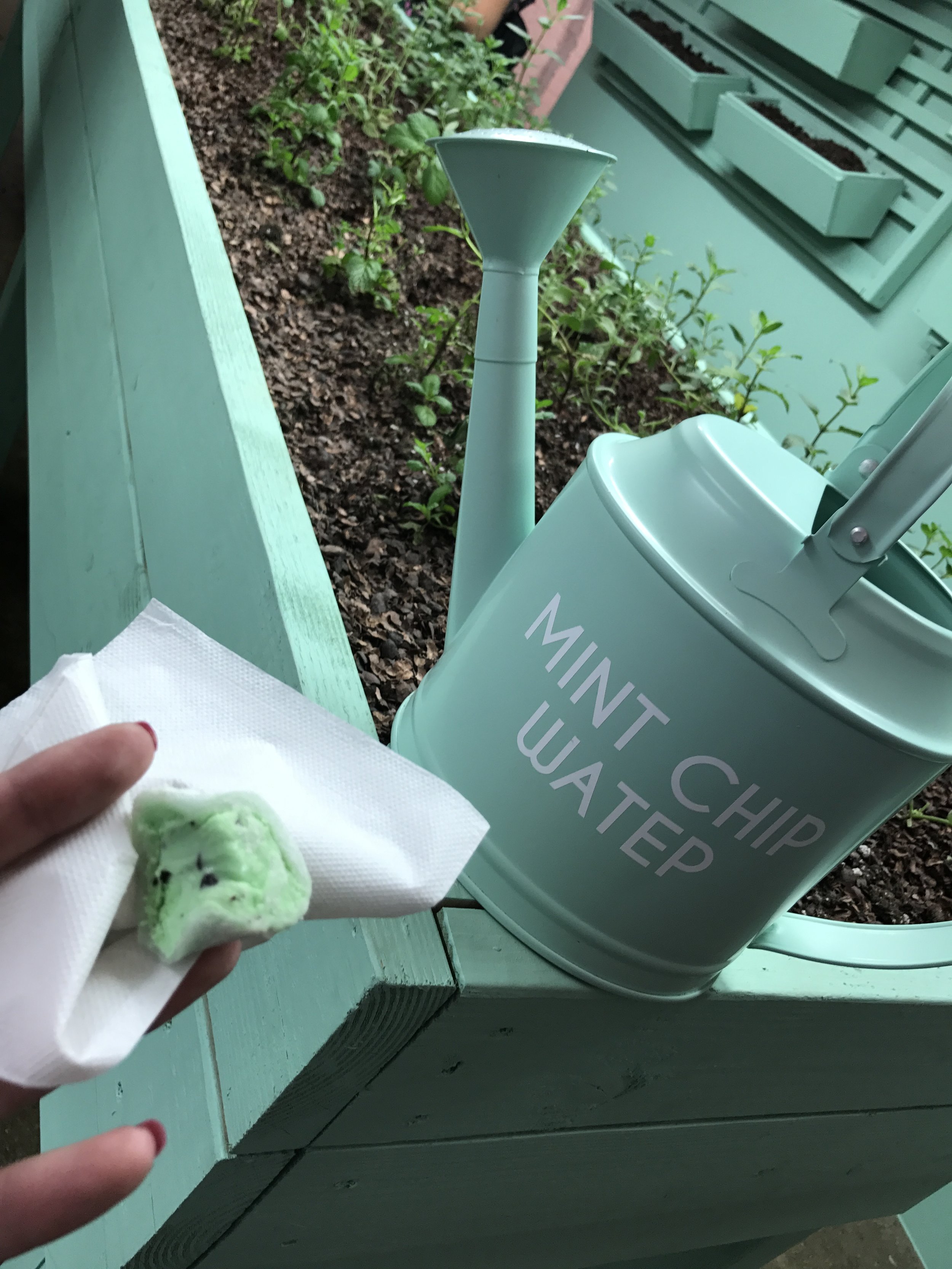 Mint Chip Life - Museum of Ice Cream Room