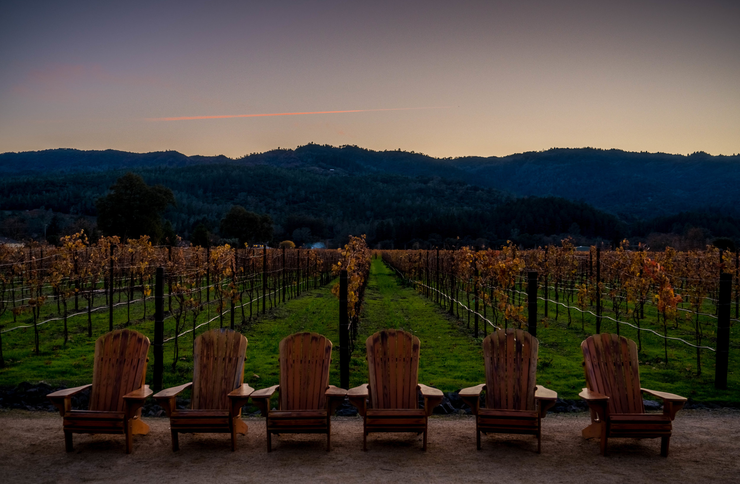 Copy of views from Hall Vineyard and Winery in Napa, CA