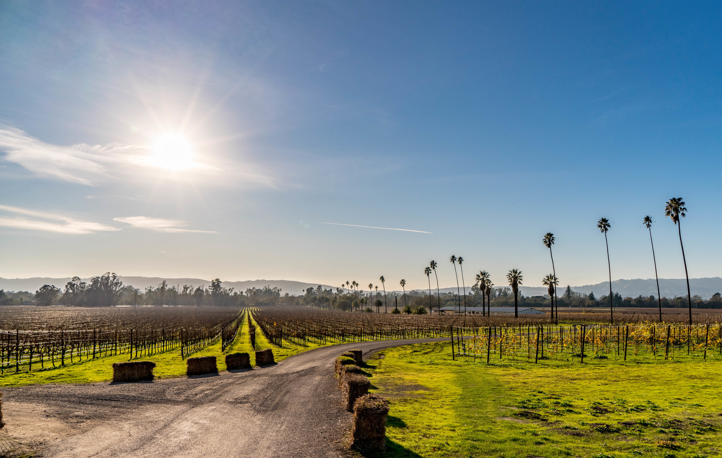 Scribe Winery - Sonoma County - Wine Tasting