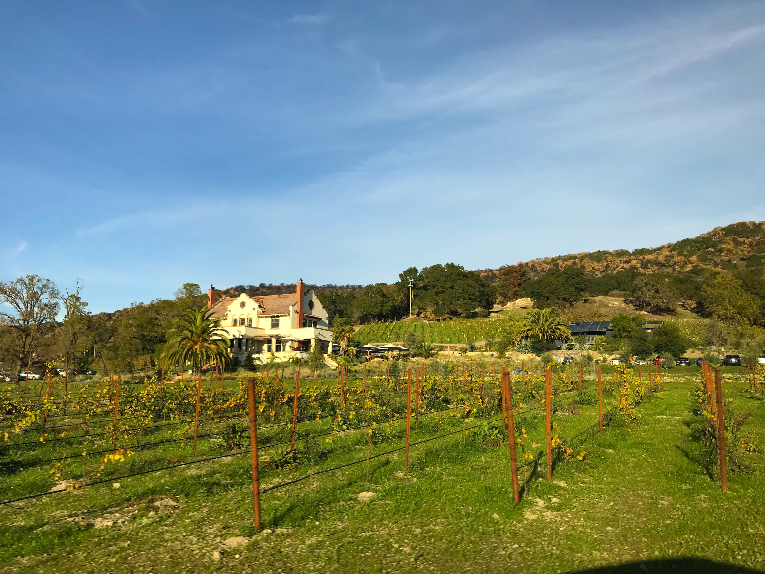 Scribe Winery - Sonoma County - Wine Tasting