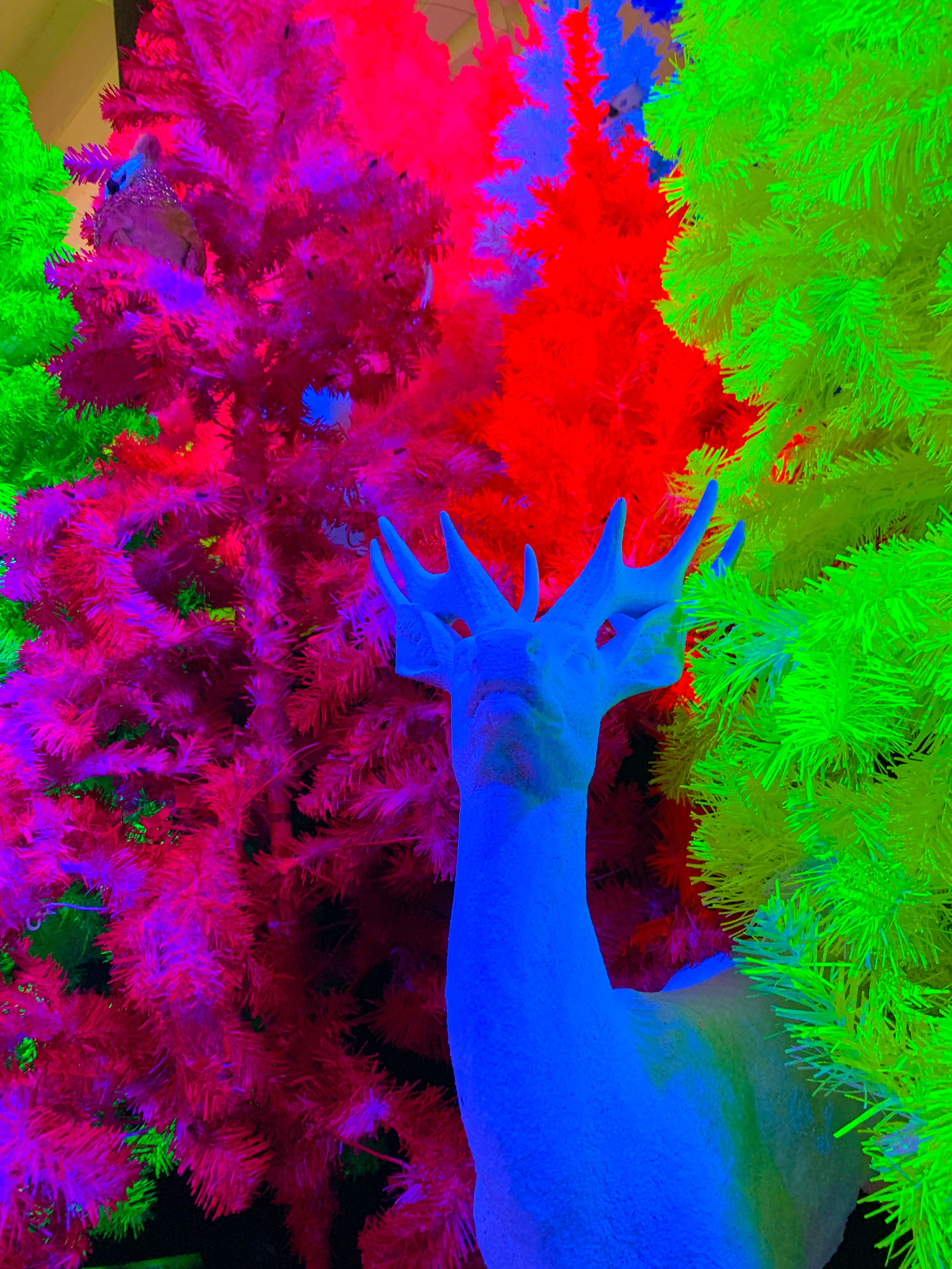 Fa la land - Christmas Pop-up in Downtown LA Naughty or Nice Room - Bright colored Christmas Trees