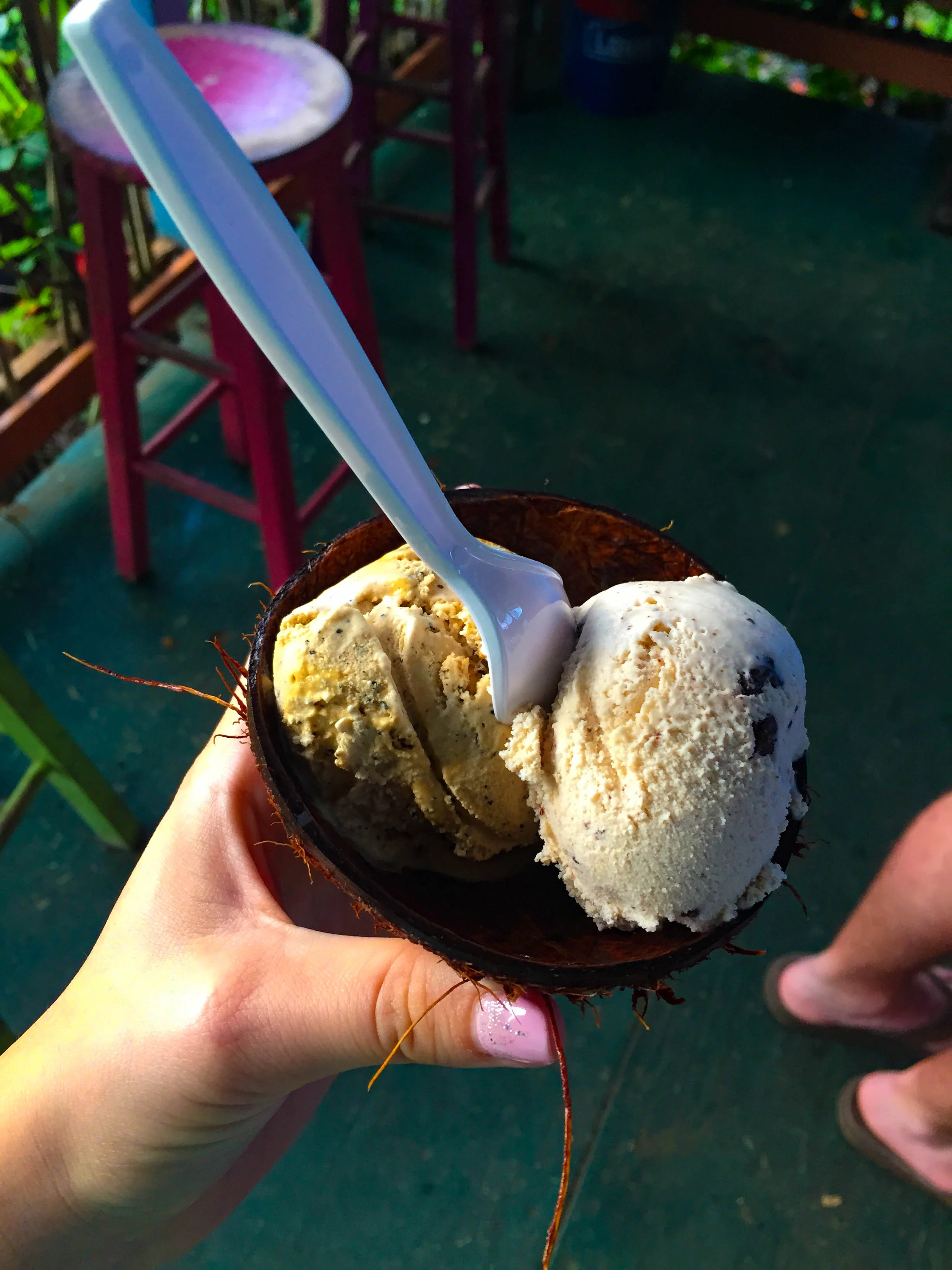 ICE CREAM REVIEW Coconut Glen's Ice Cream Maui, Hawaii — The