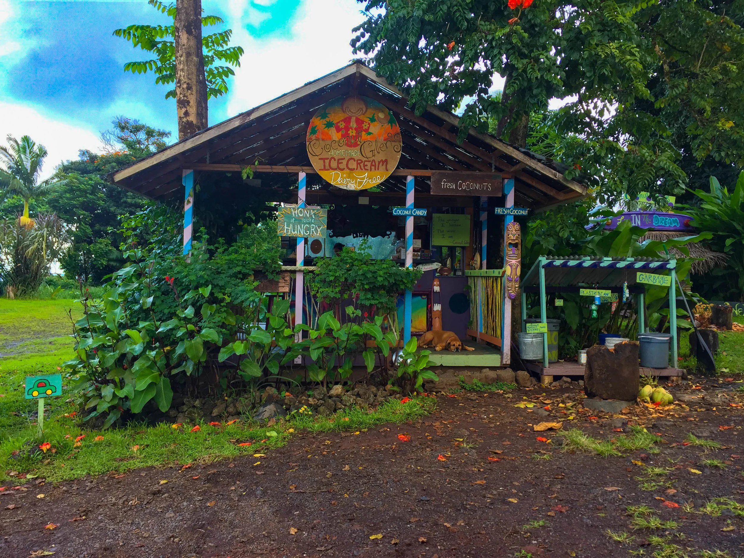 ICE CREAM REVIEW Coconut Glen's Ice Cream Maui, Hawaii — The