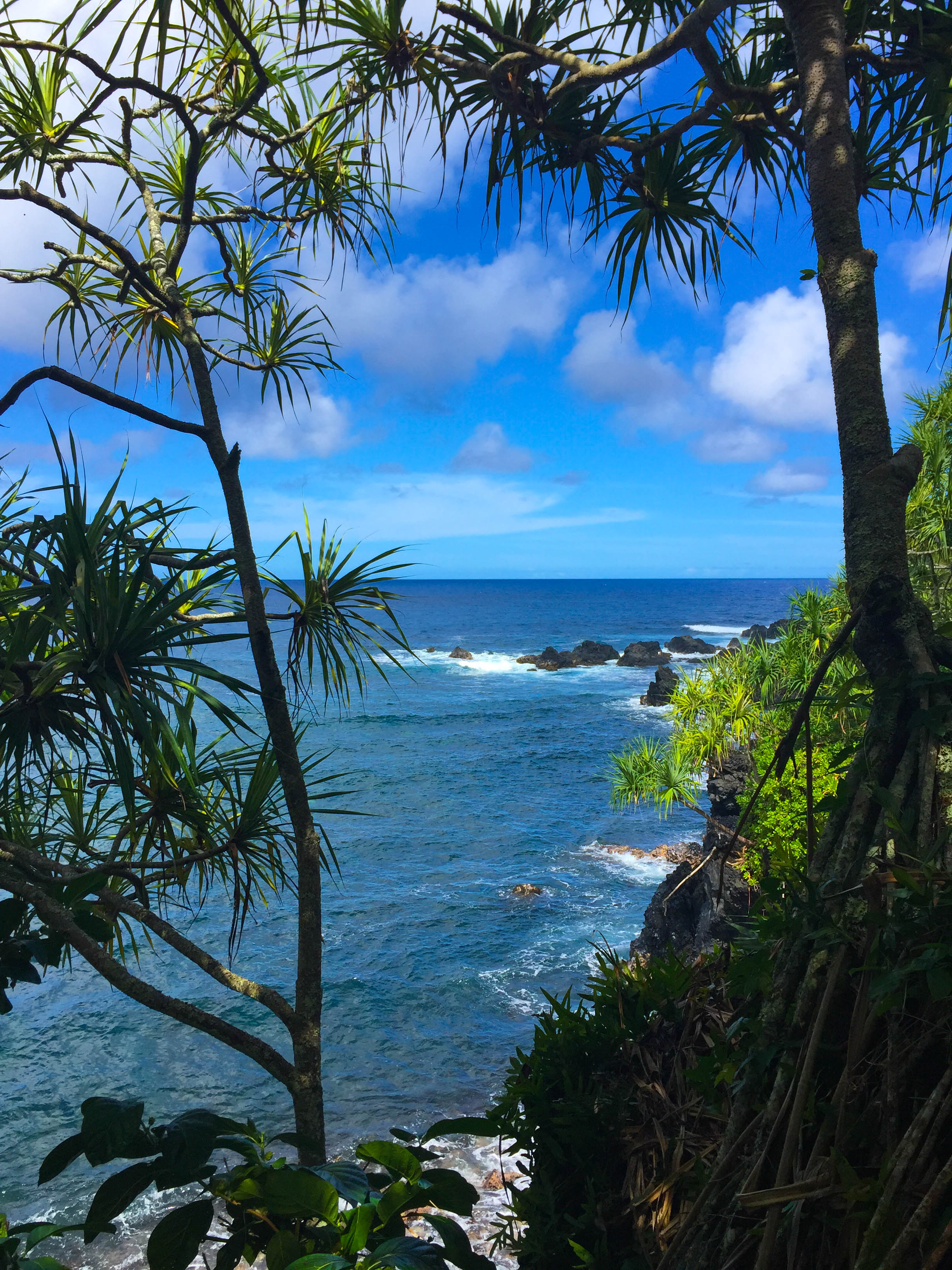 Kahanu Garden - Tropical Botanical Garden - Road to Hana - Maui, Hawaii (Copy)