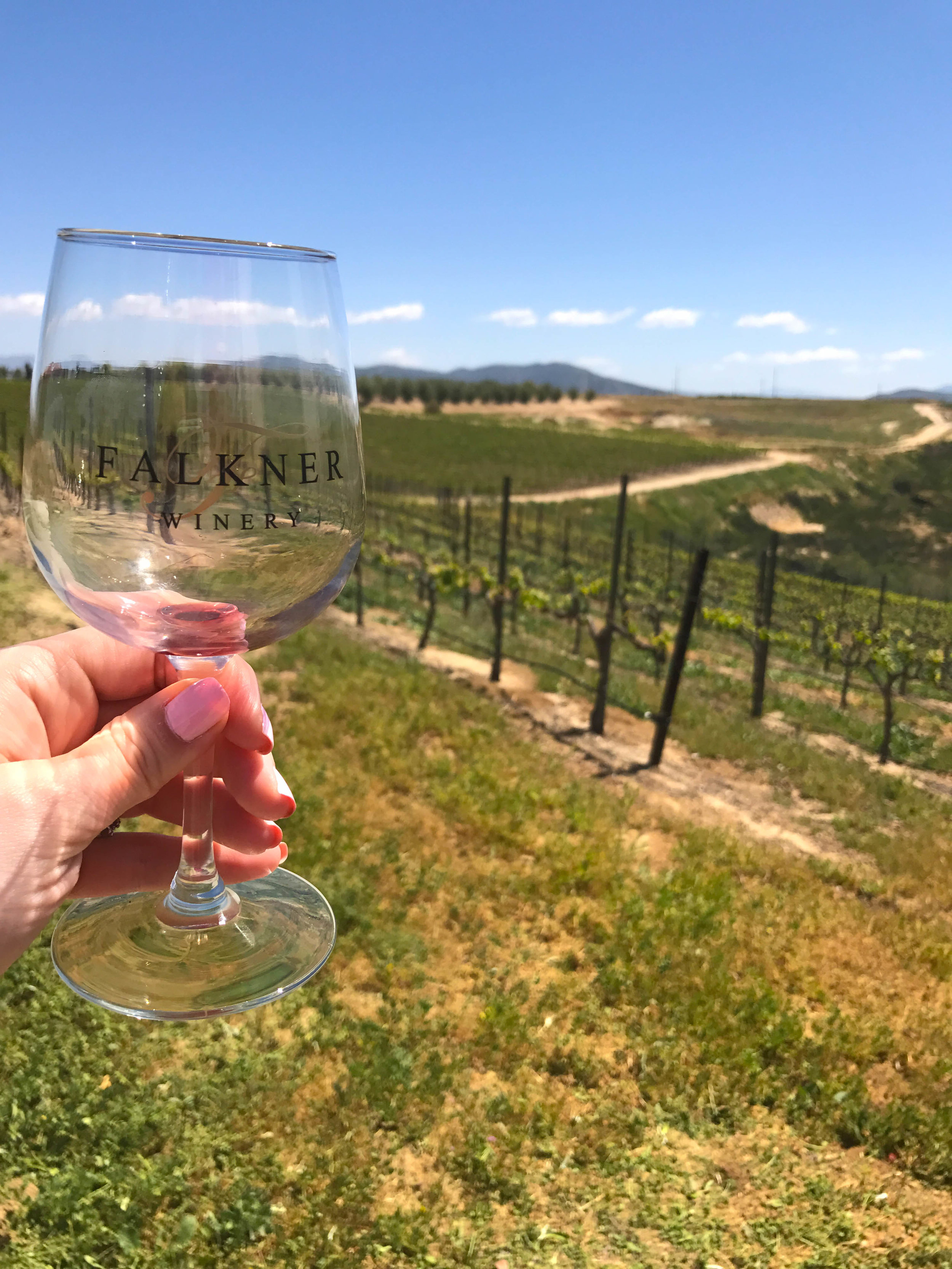 Wine tasting in Temecula, CA - Falkner Winery